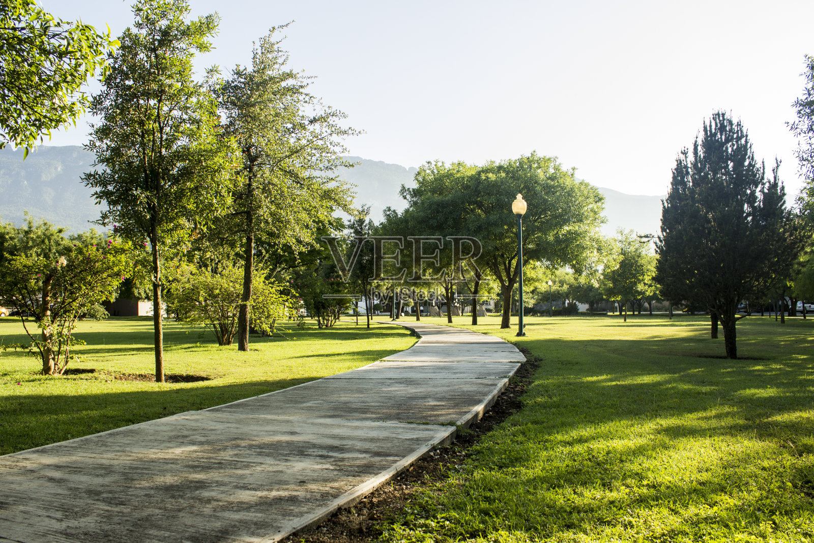 绿色社区公园，有路灯和人行道照片摄影图片