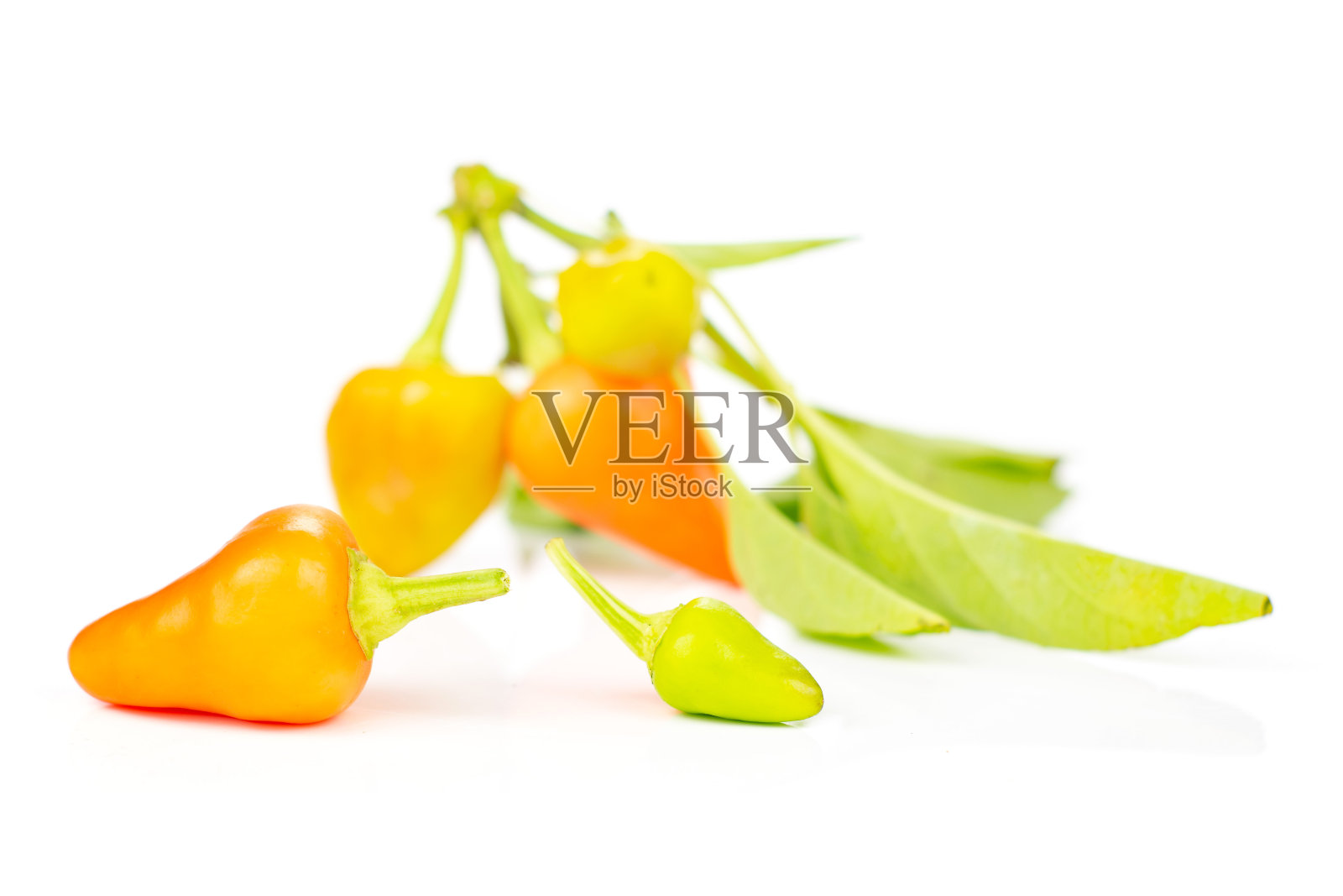 红橙红辣椒孤立在白色照片摄影图片