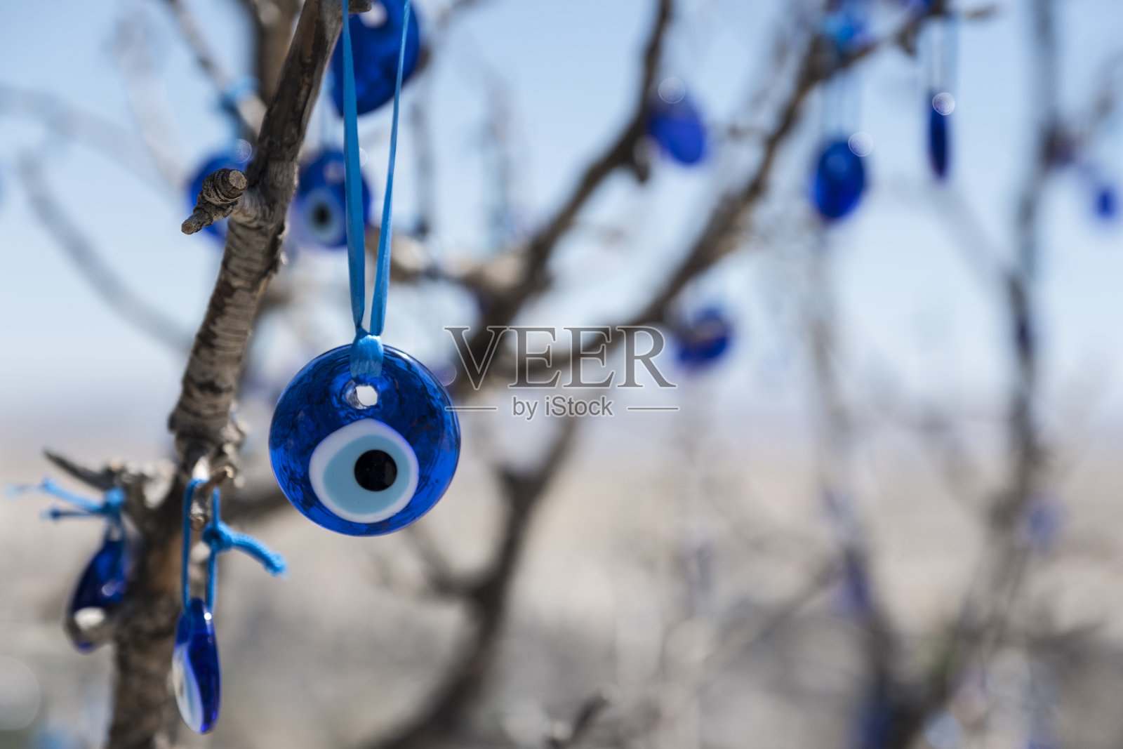 邪恶的眼珠挂在树上照片摄影图片