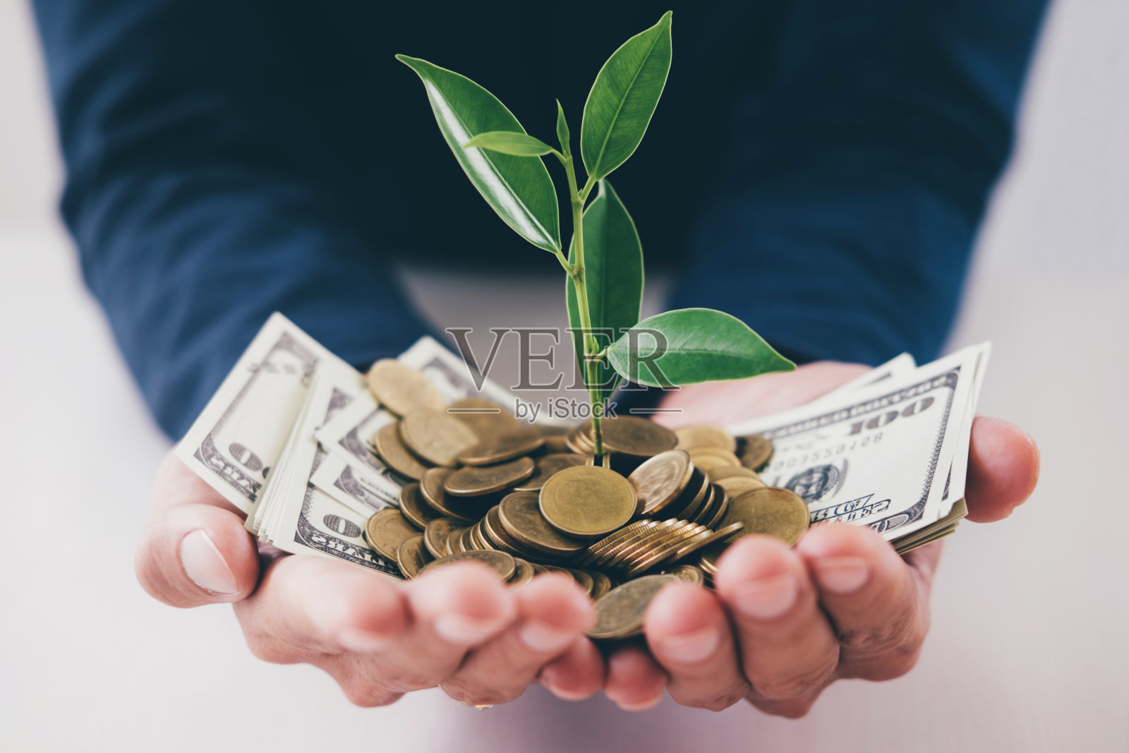 商人手中握着一小把由植物发芽而成的金币和钞票，商业投资和战略概念照片摄影图片