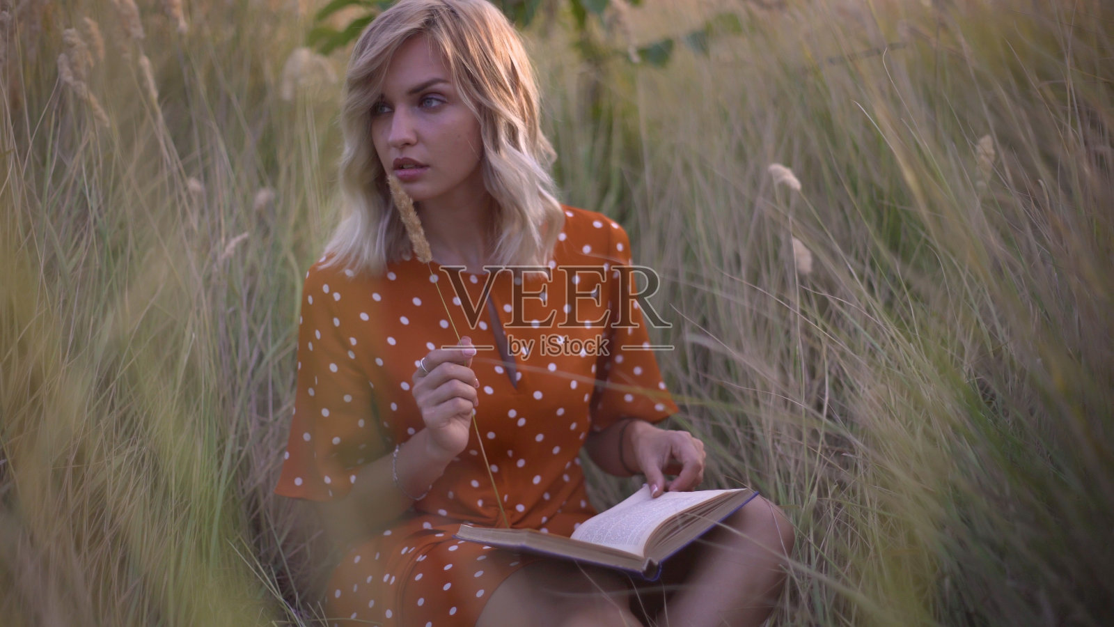 美丽快乐的年轻女子在田间的小穗和小麦与书上的日落，金发碧眼的在草地上玩得很开心照片摄影图片