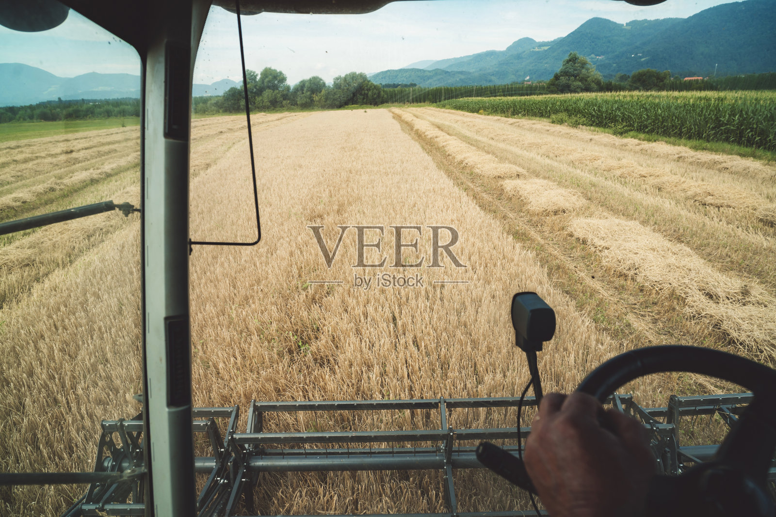 收获照片摄影图片