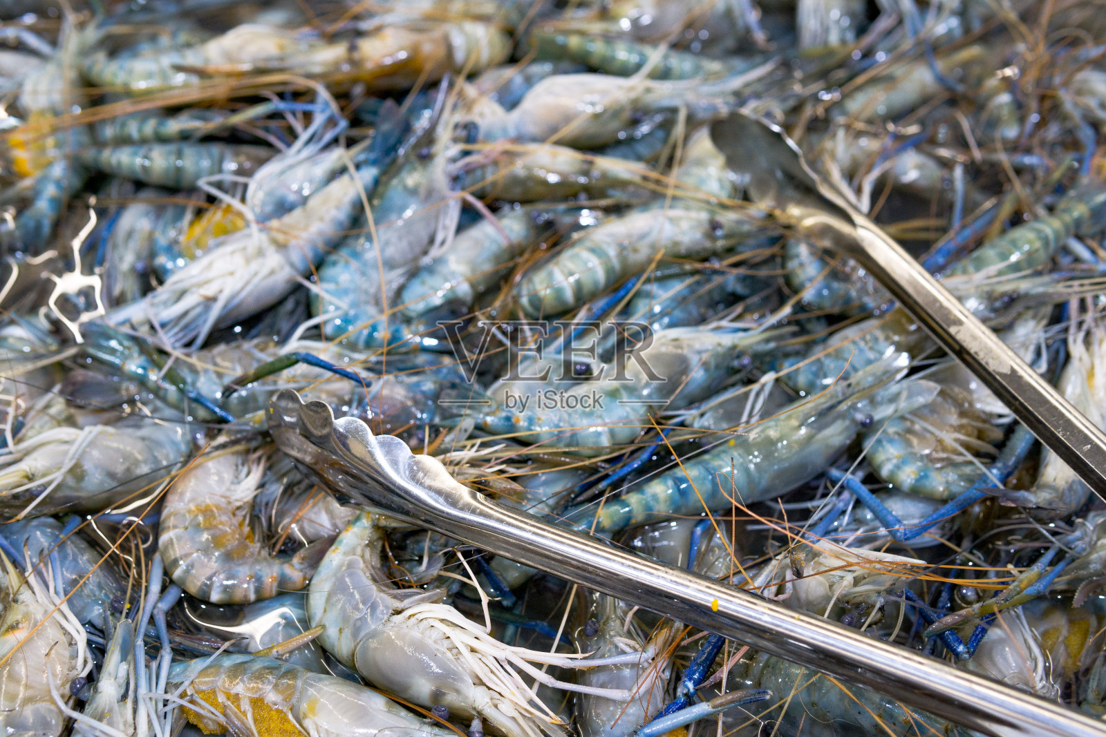 海鲜市场的生虾贝类照片摄影图片