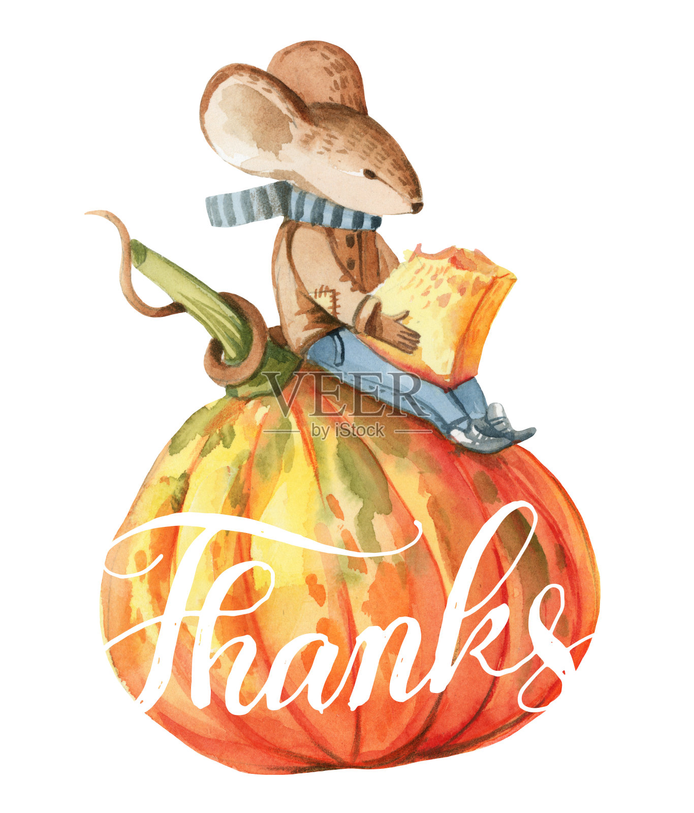 水彩插画：灰色小老鼠坐在红色南瓜上吃南瓜插画图片素材