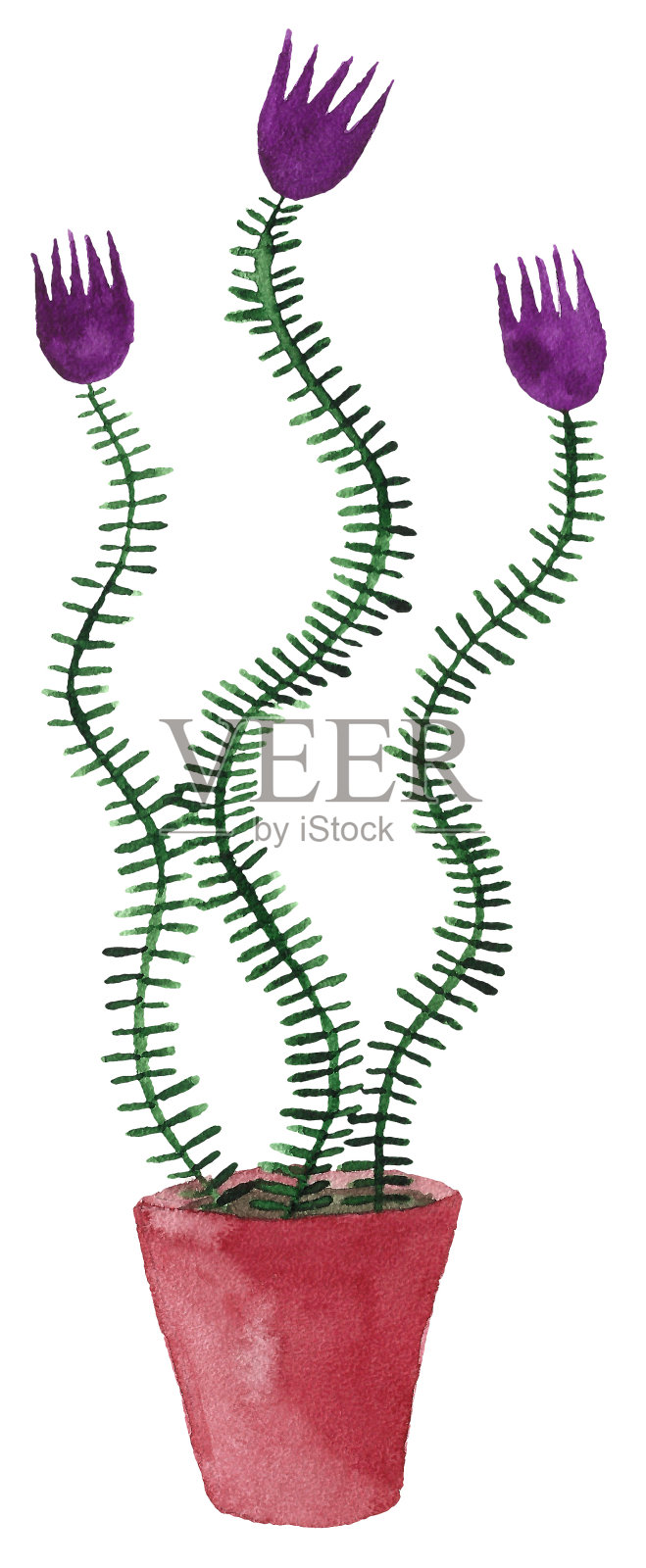 水彩盆花插画图片素材