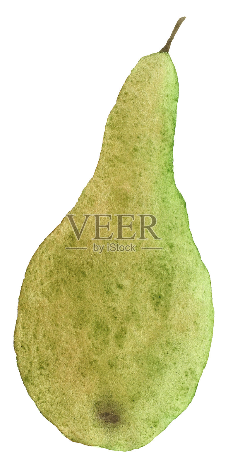 水彩梨照片摄影图片