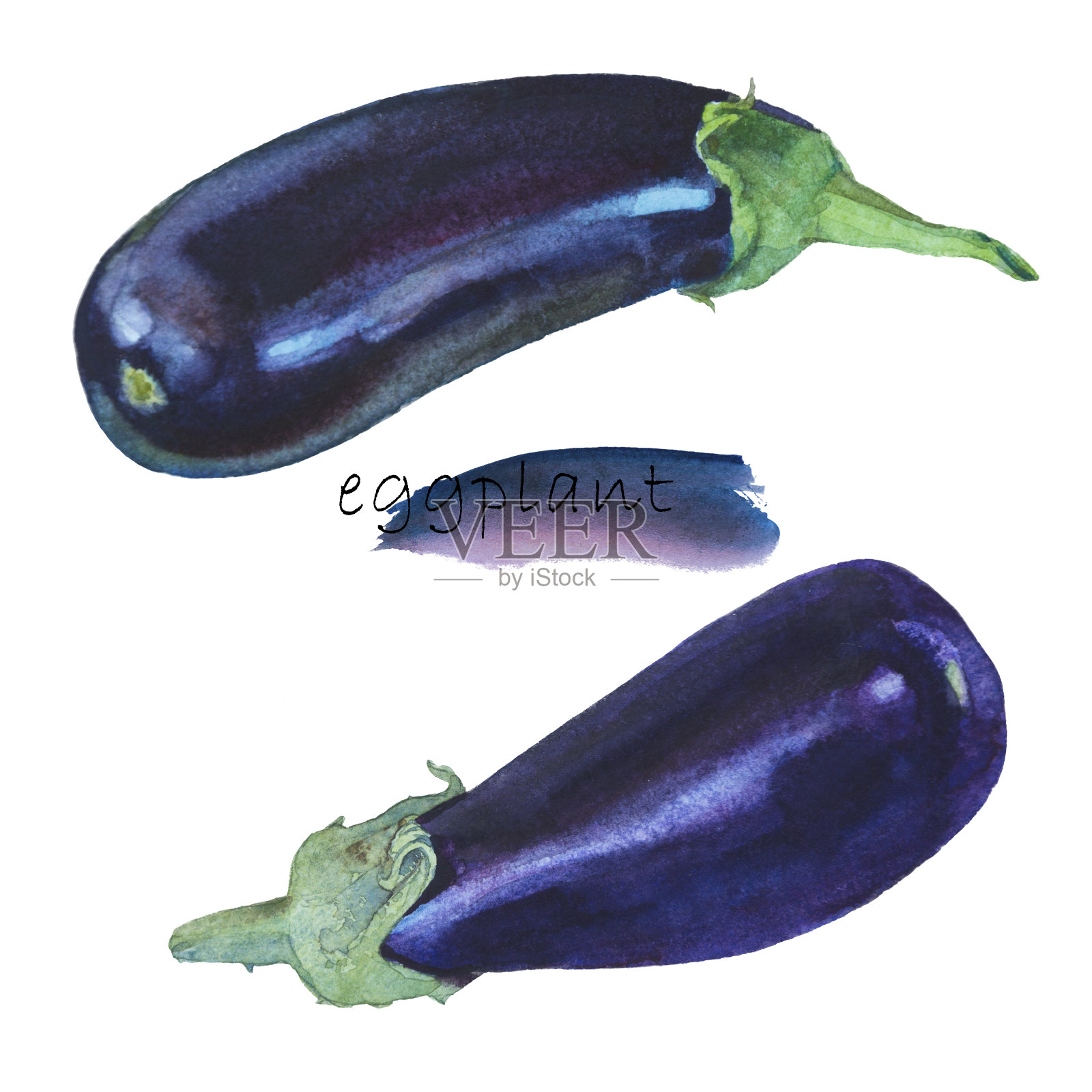 成熟的茄子，水彩画，白色背景插画图片素材
