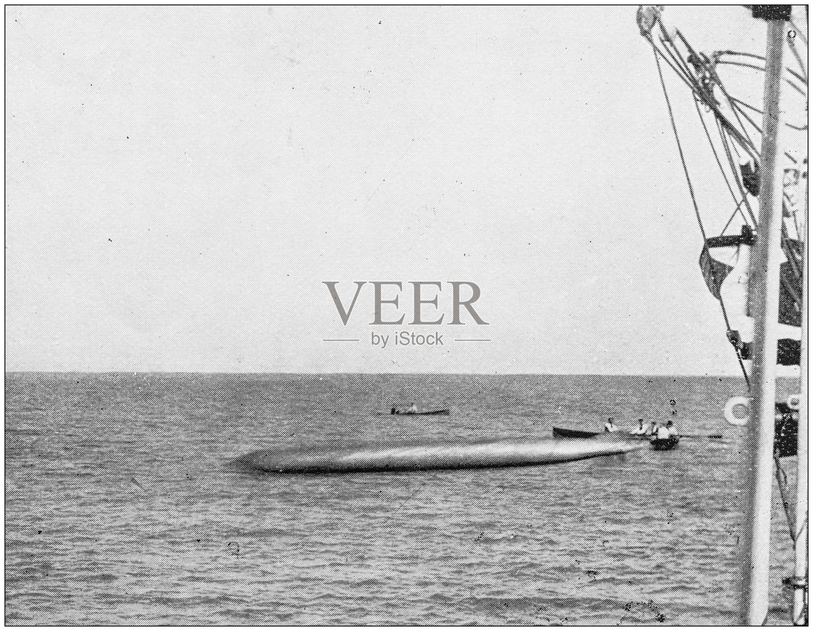 海军和陆军古董历史照片：鱼雷测试照片摄影图片