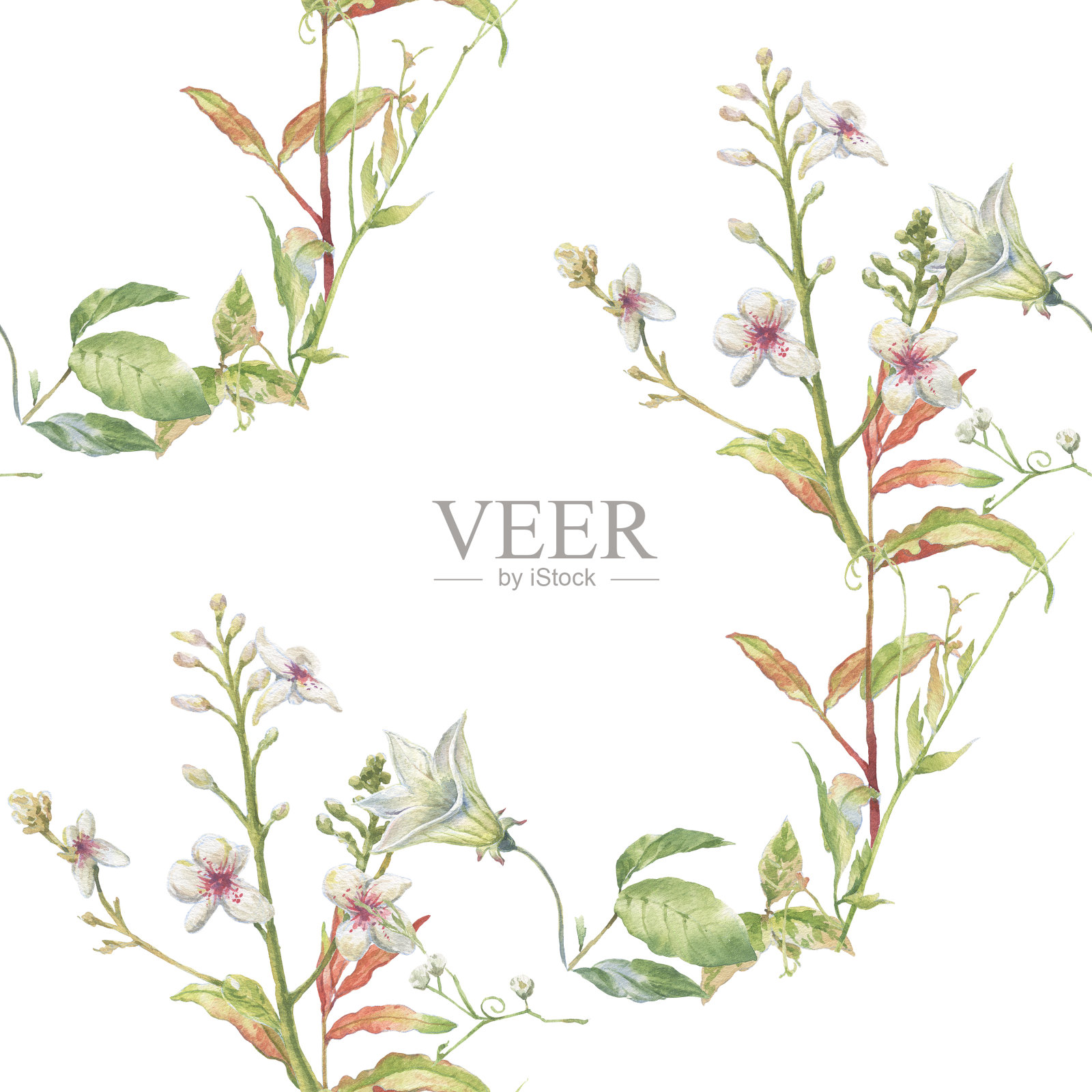 叶和花的水彩画，在白色的背景上无缝的图案设计元素图片