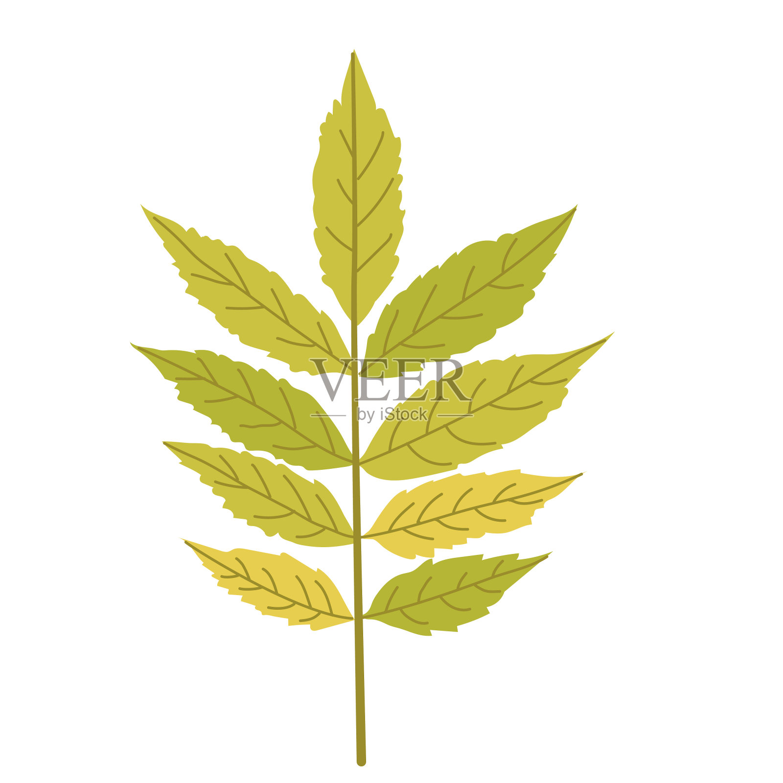 秋叶背景与复制空间设计元素图片