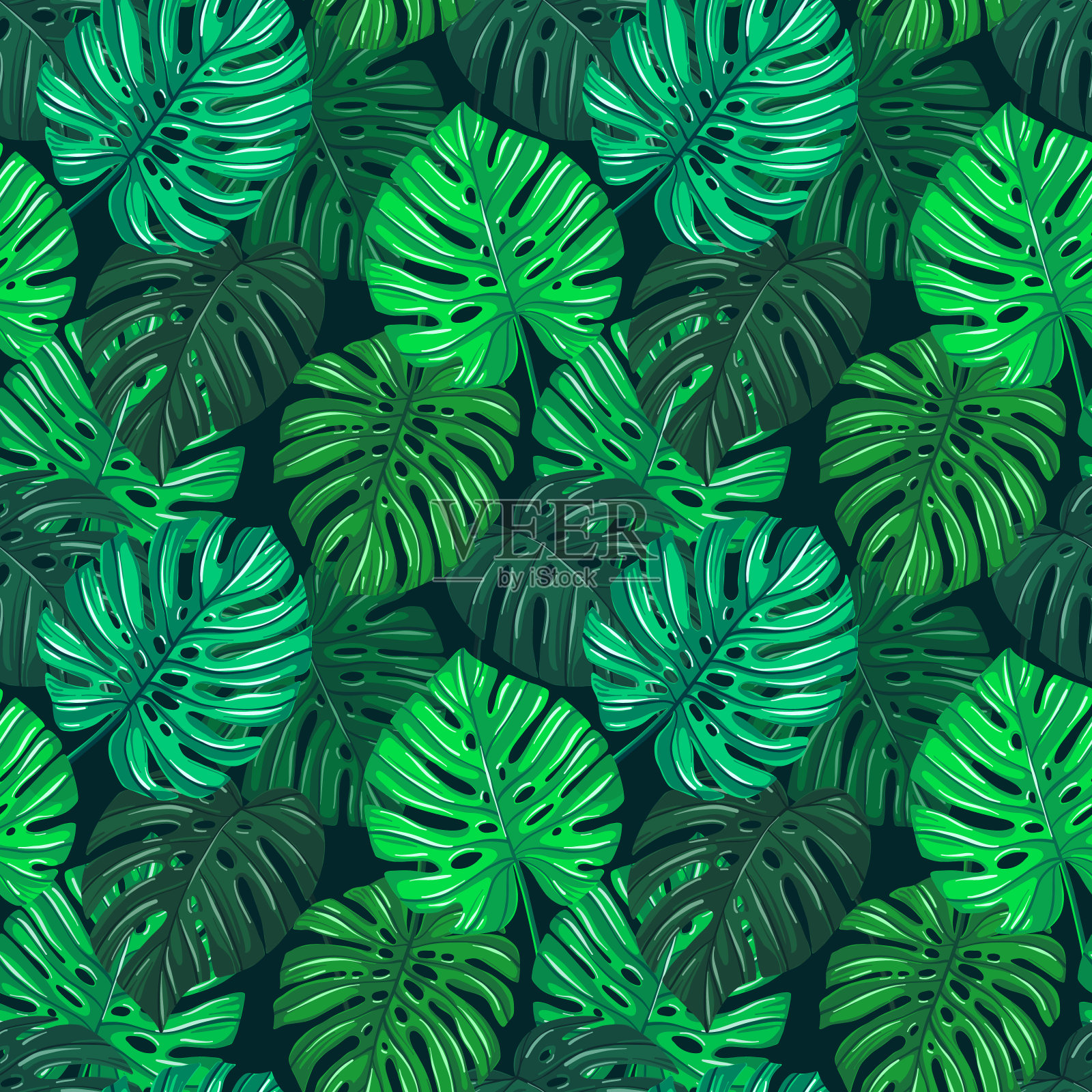 矢量无缝模式与热带叶。蓬莱蕉叶子纹理。丛林花可重复的背景。插画图片素材