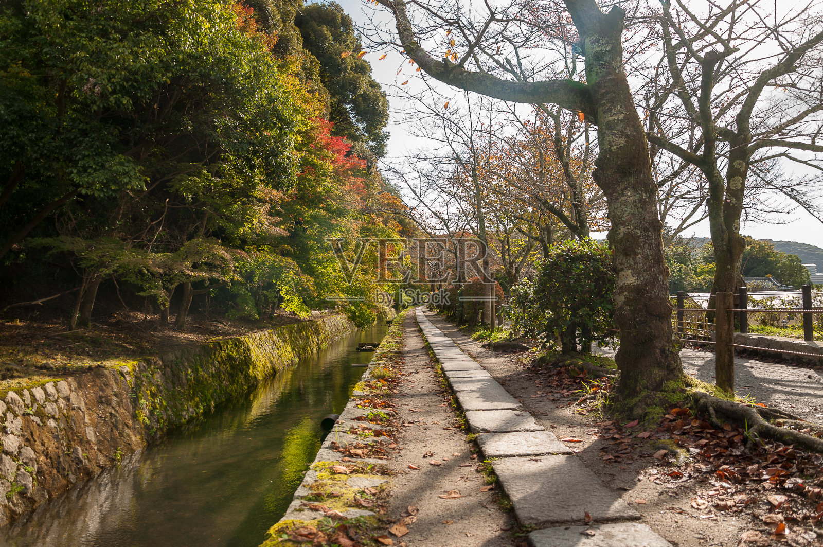秋天哲学家的道路照片摄影图片