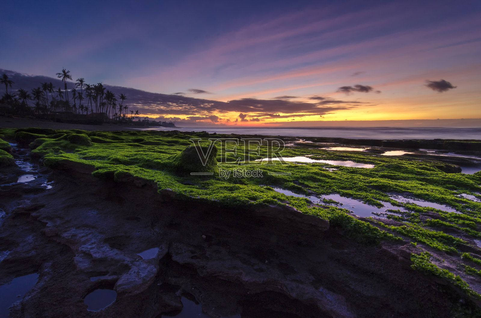 情绪的苔藓照片摄影图片