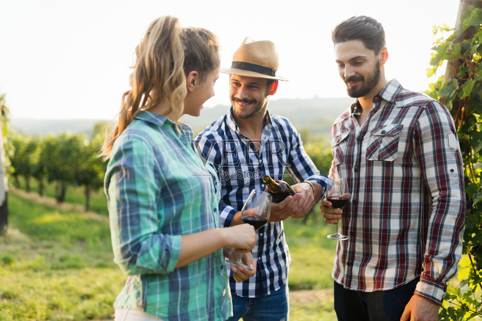 人们在葡萄园里品尝葡萄酒照片摄影图片