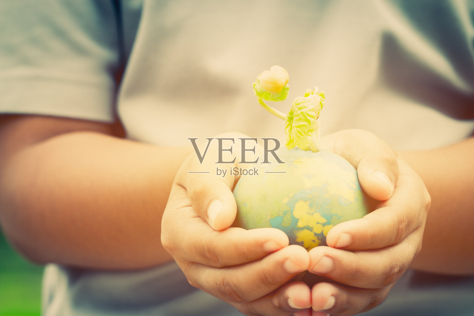 在阳光明媚的日子里，为拯救世界，绿色世界环境生态日，地球上的生命概念，复古色调，手持有播种植物的粘土地球仪模型照片摄影图片