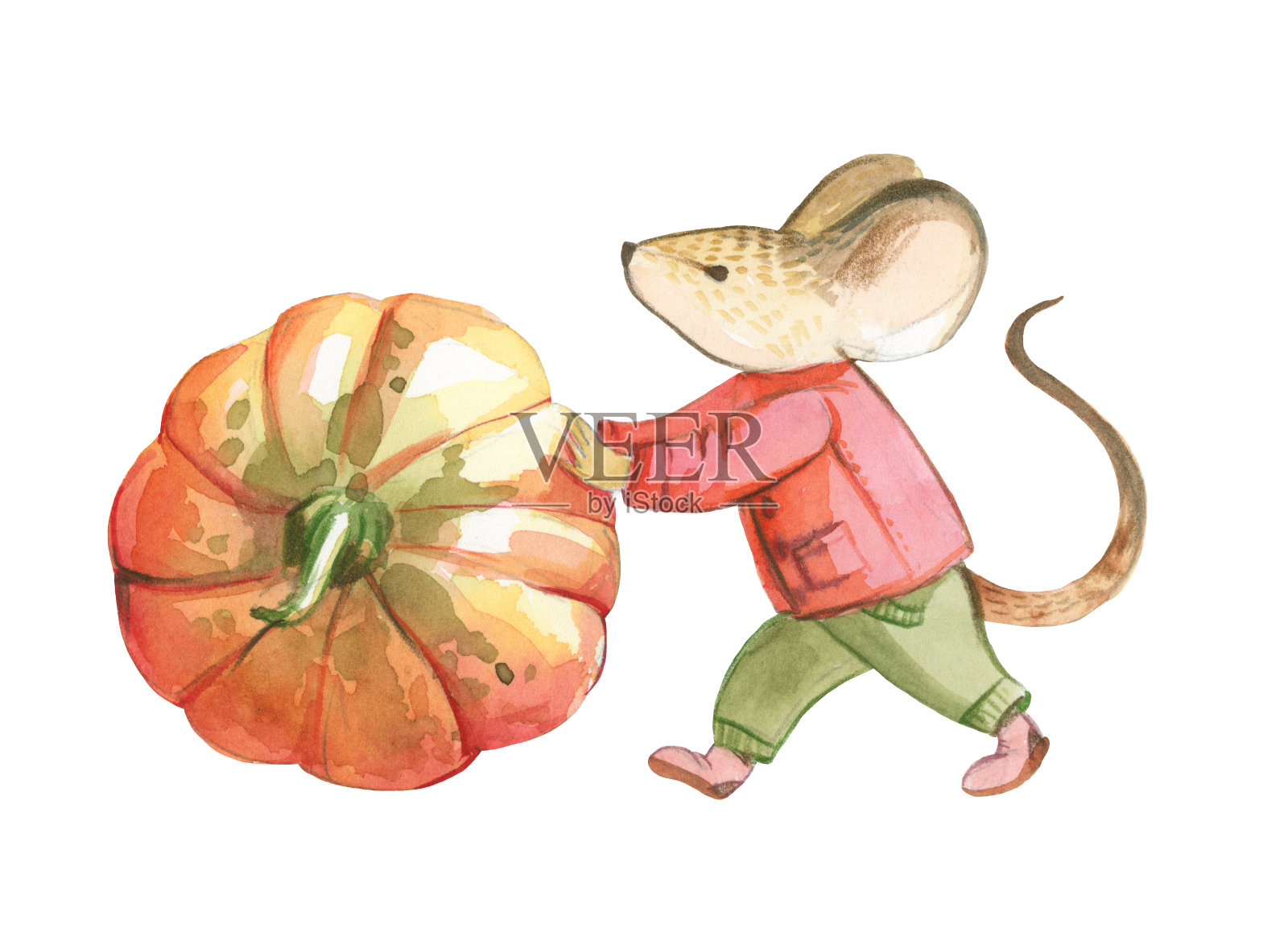 一只穿着红色夹克和绿色裤子的灰色小老鼠碗红色的南瓜插画图片素材