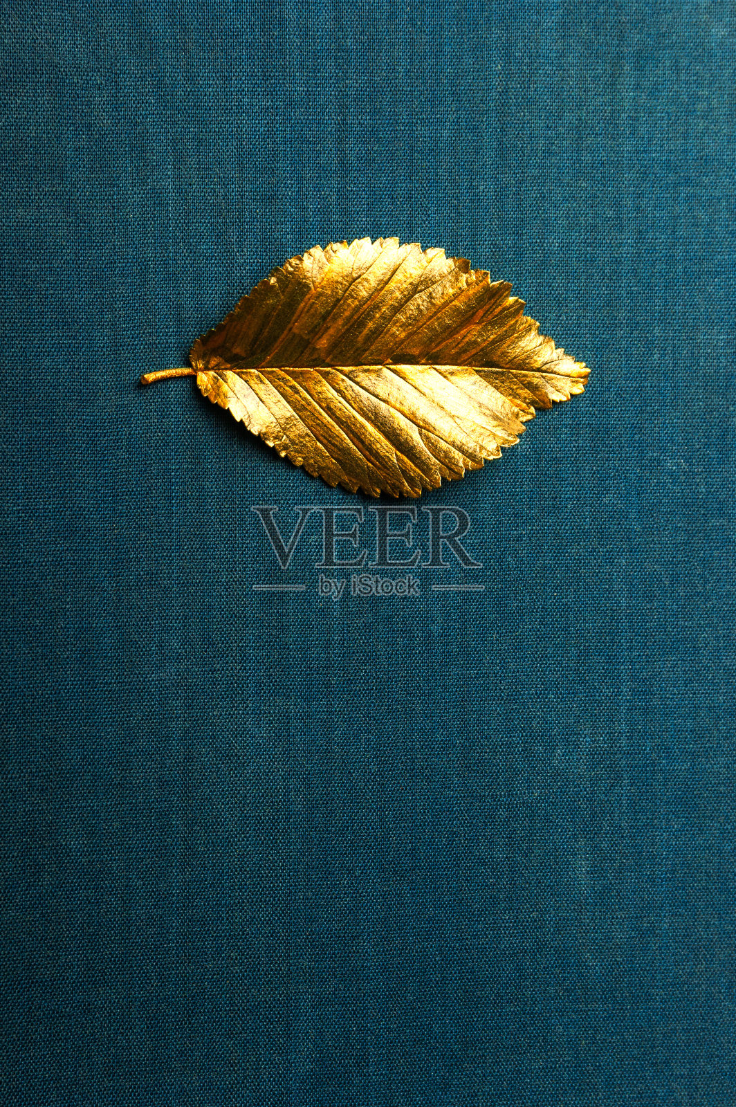 秋天的金叶带着拷贝的空间照片摄影图片