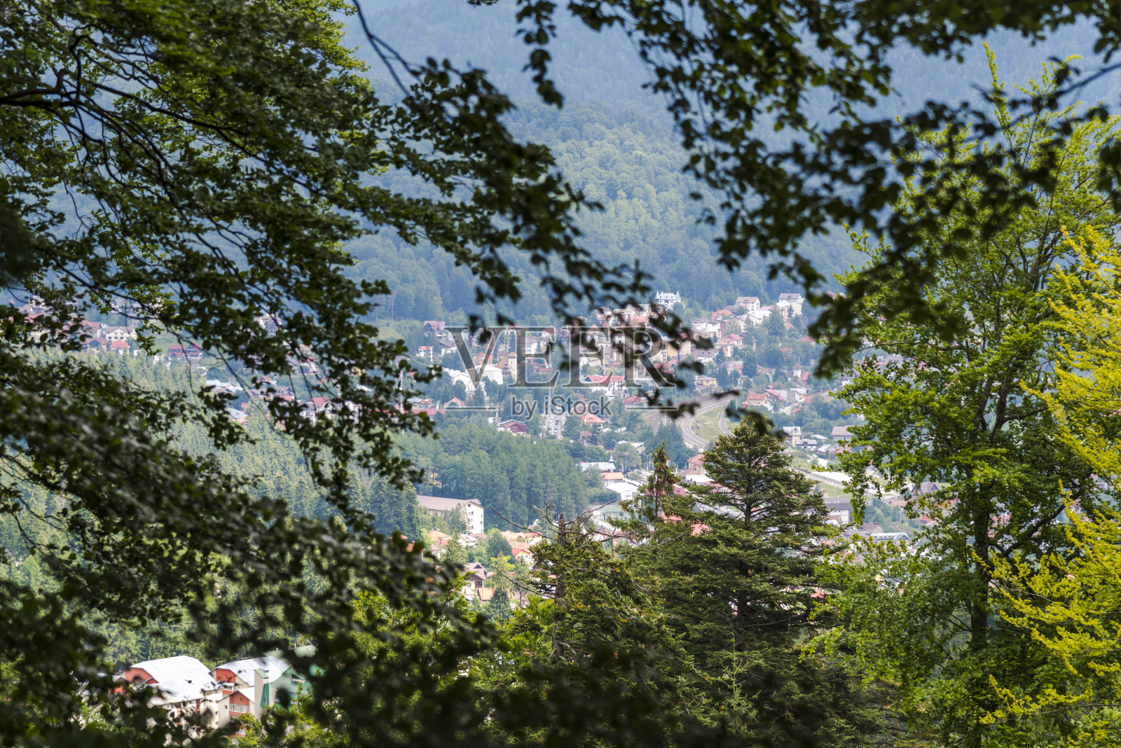 野生河照片摄影图片