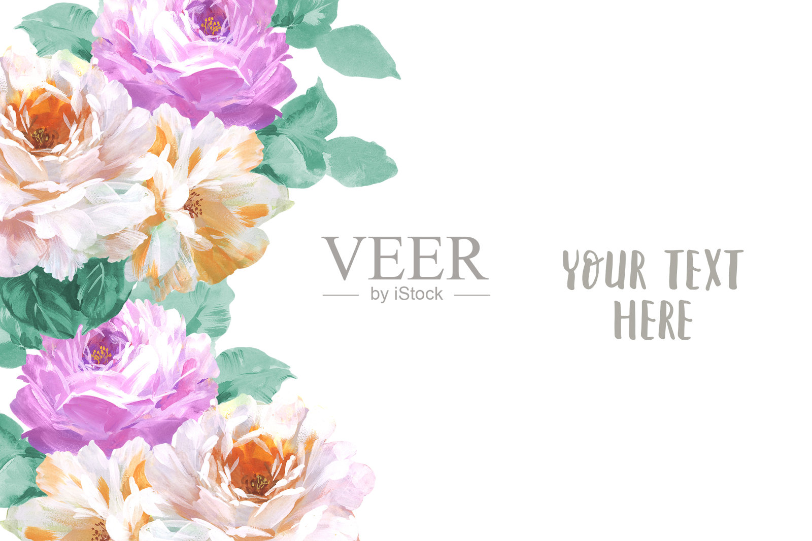 优雅的手绘玫瑰花插画图片素材