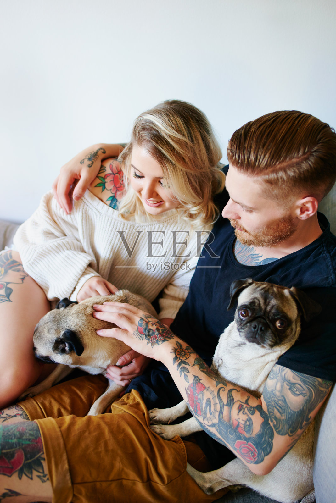 和宠物在一起的时间不会浪费照片摄影图片