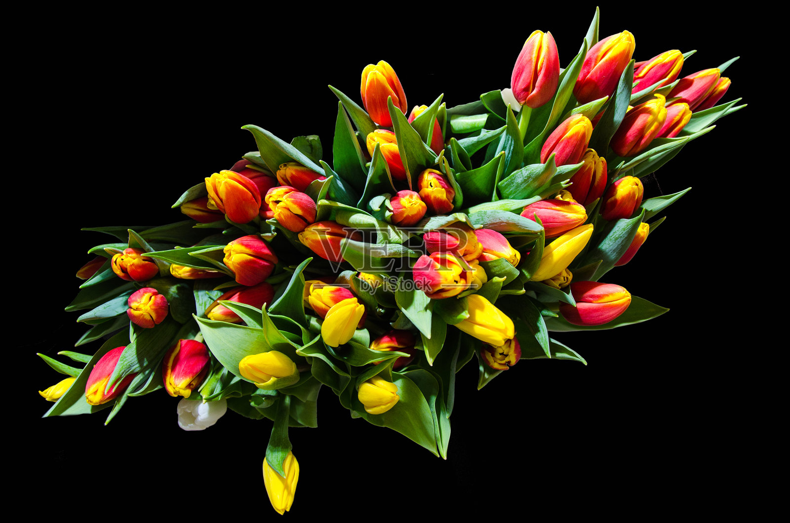 黑色背景上的一束黄色郁金香照片摄影图片