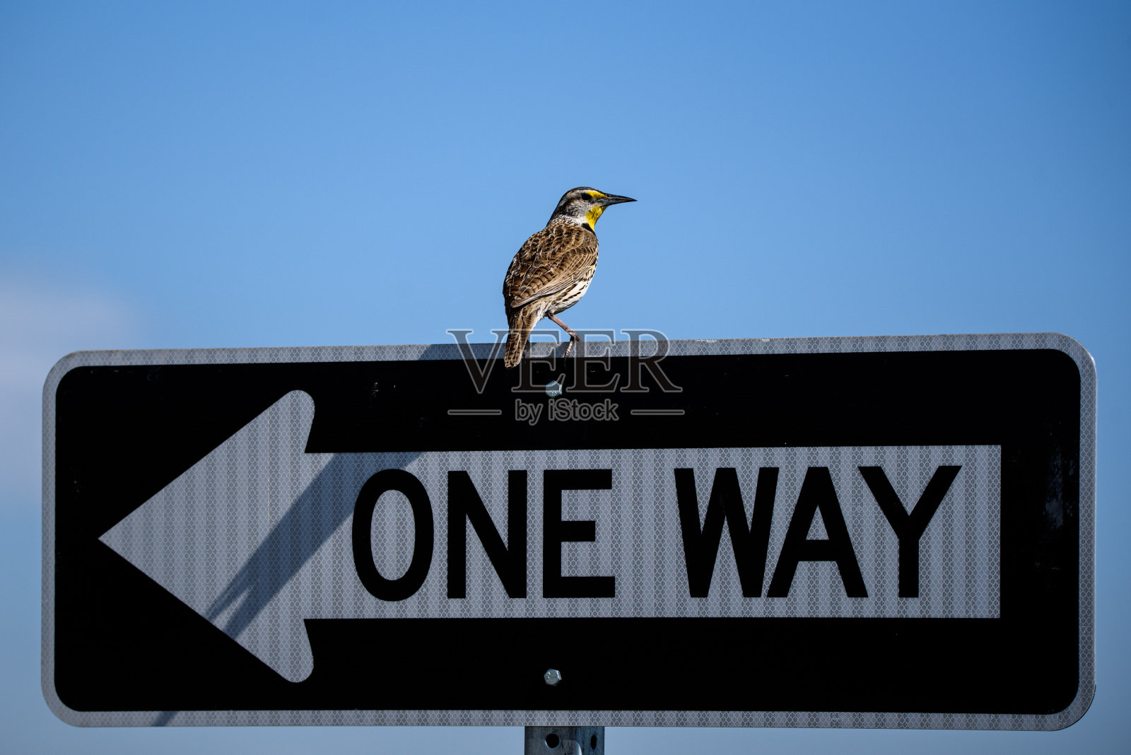 飞行之路照片摄影图片