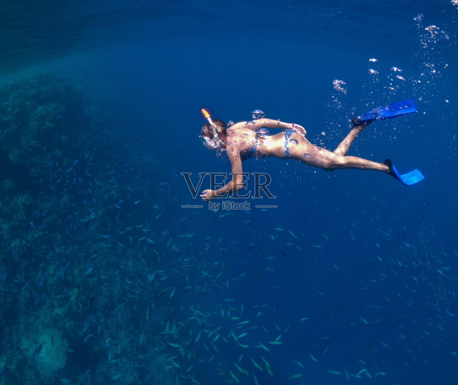 在红海珊瑚礁深处游泳的女人照片摄影图片