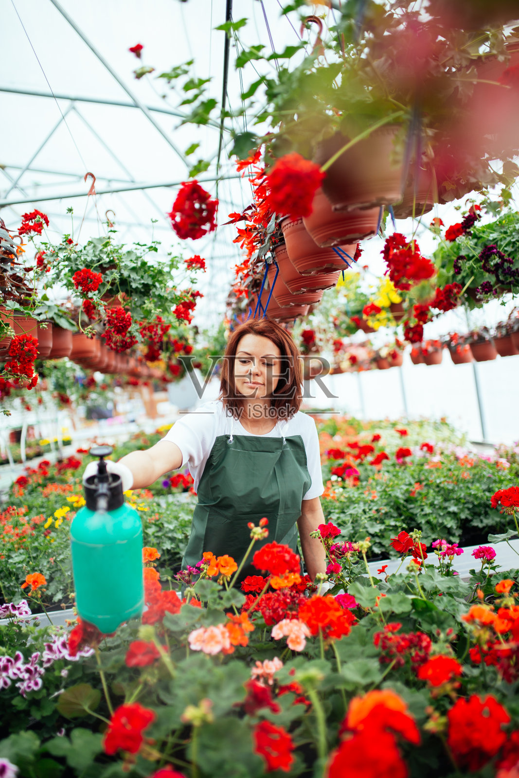 园艺照片摄影图片