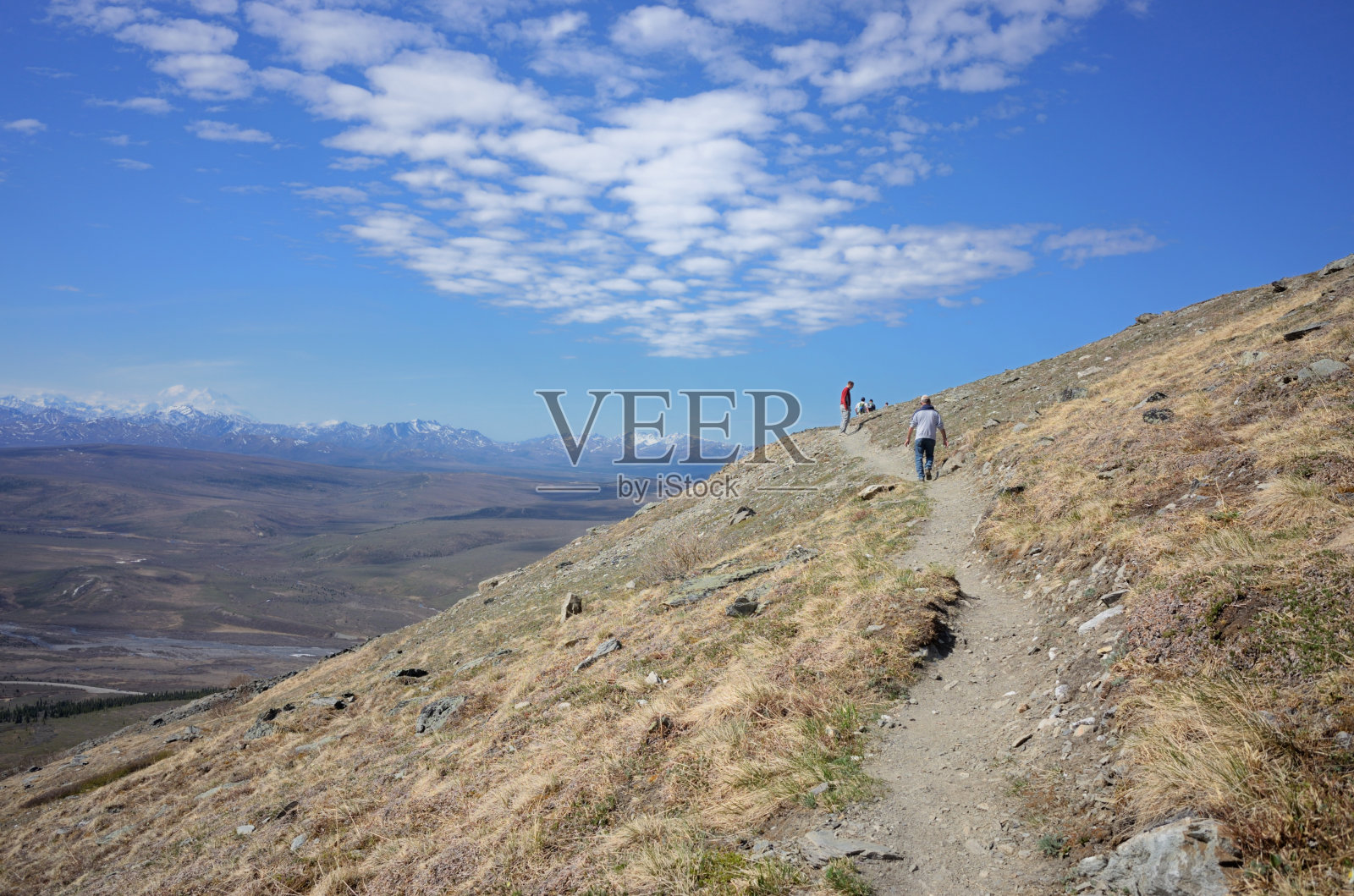 沿着德纳里国家公园小径的徒步旅行者照片摄影图片