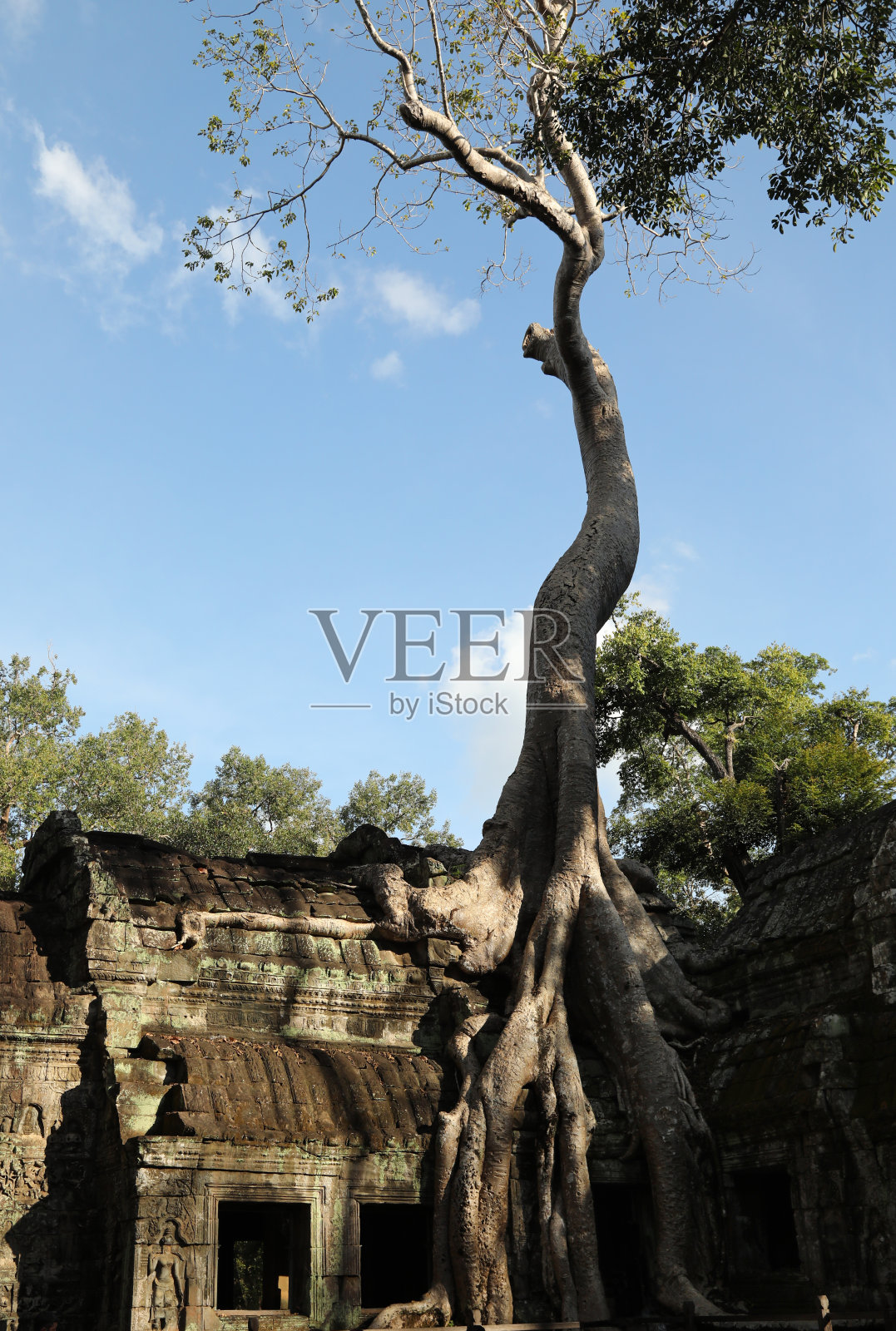 吴哥的塔普隆寺废墟照片摄影图片