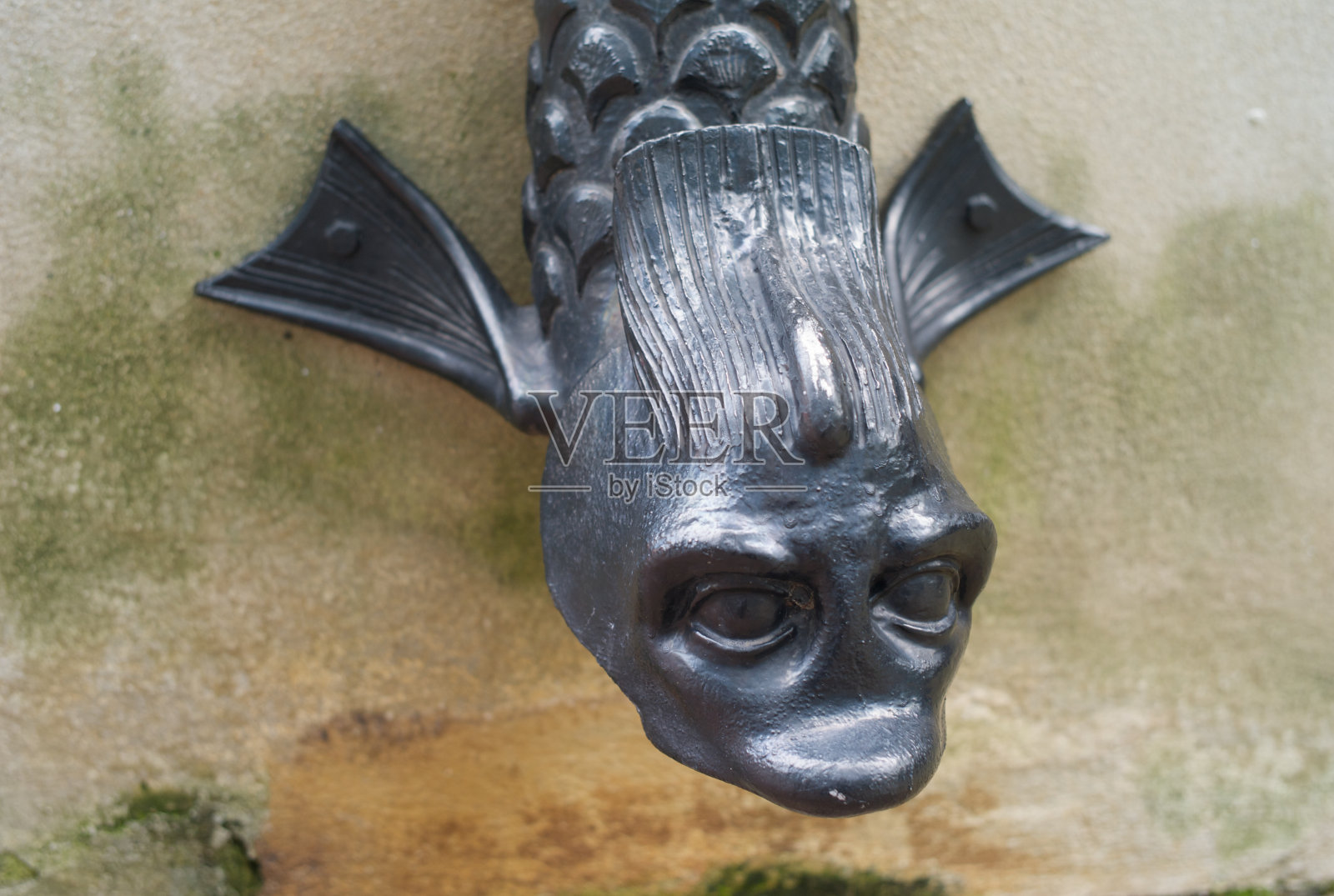 一个美丽的老喷水在形式的鱼照片摄影图片