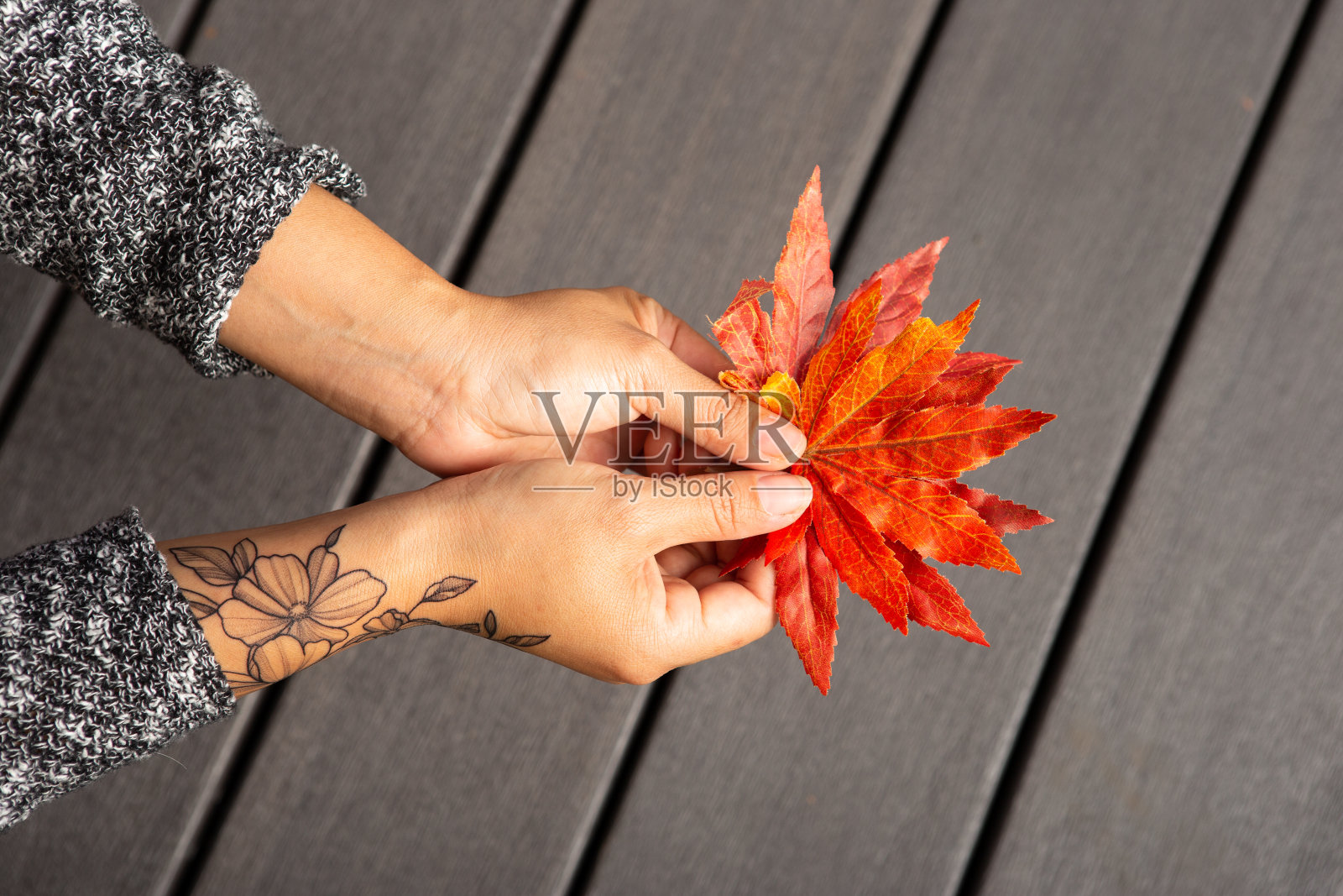 牵手秋叶照片摄影图片