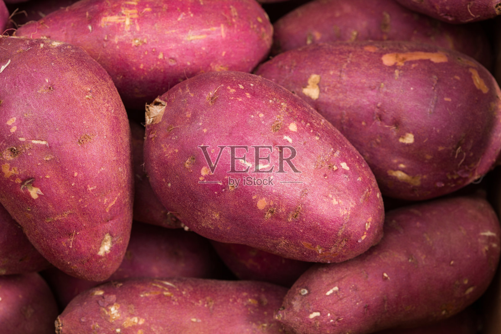 新鲜有机红薯照片摄影图片