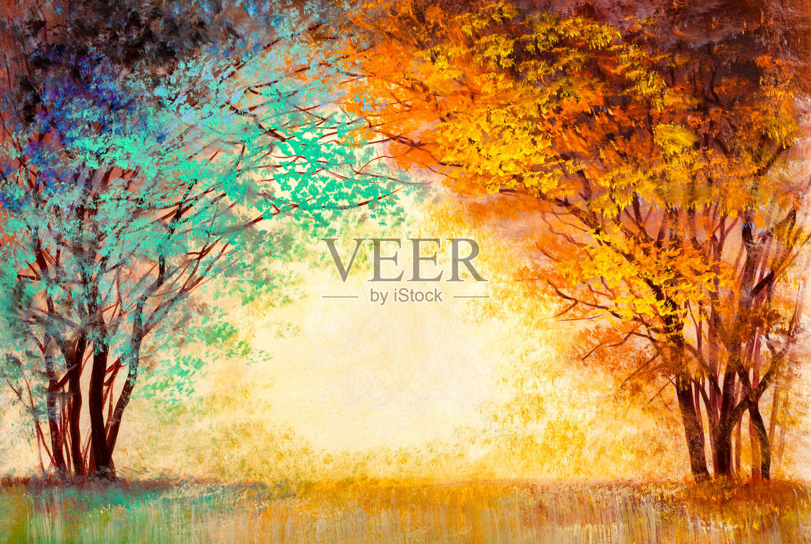 秋天公园里五颜六色的树插画图片素材