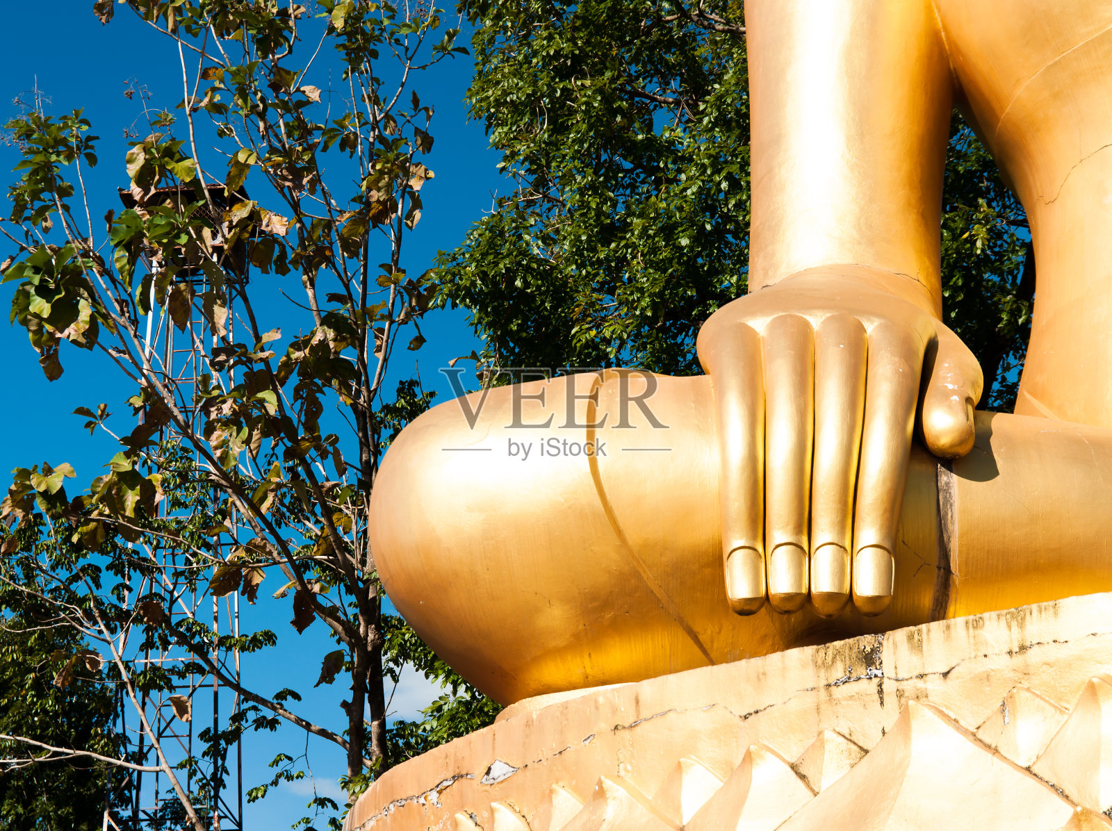 一个巨大的金佛的手和膝盖照片摄影图片