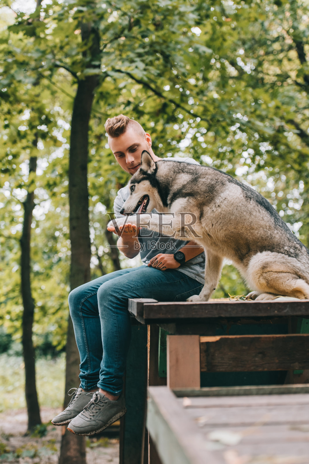 一个年轻人在公园里牵着哈士奇的爪子照片摄影图片