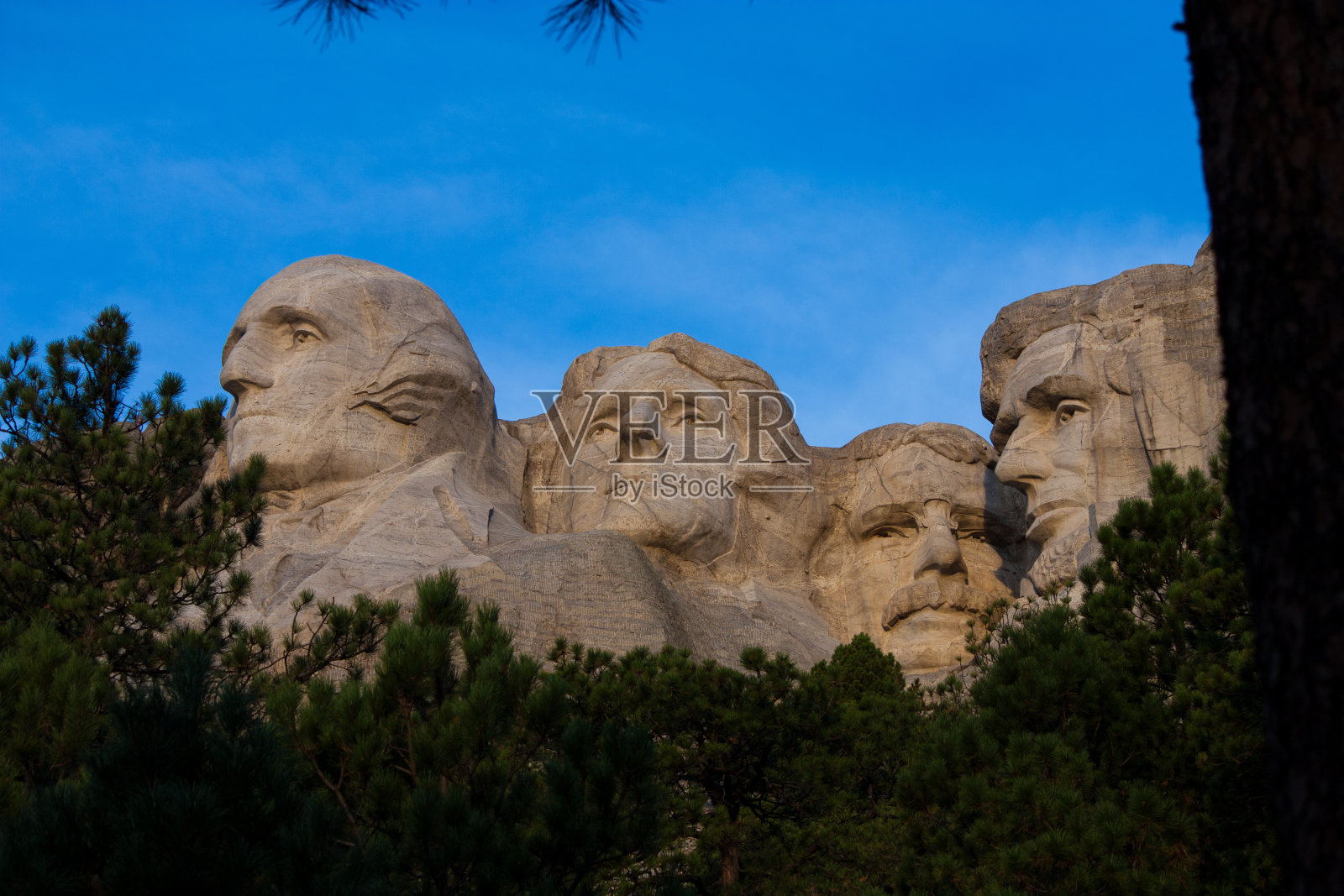 树木环绕的拉什莫尔山照片摄影图片