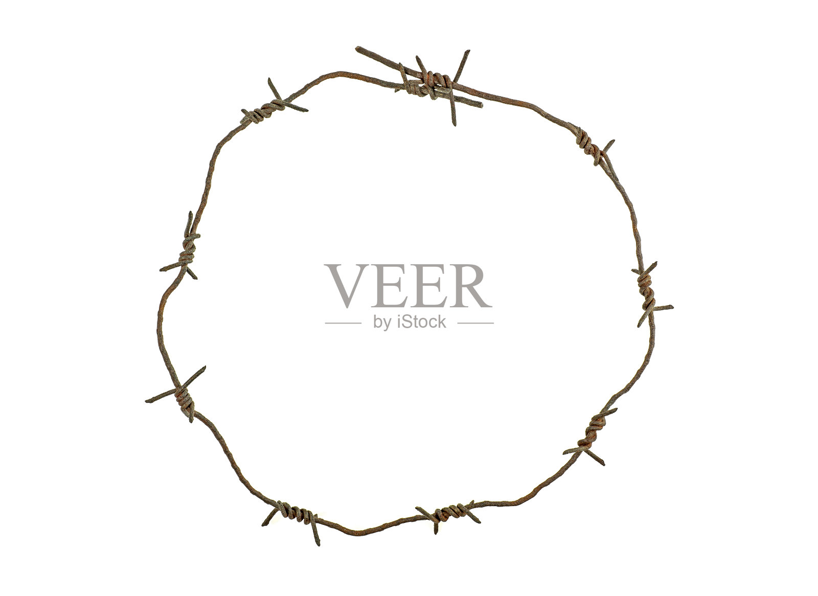 铁丝网圈孤立在白色背景上。生锈的铁丝。照片摄影图片