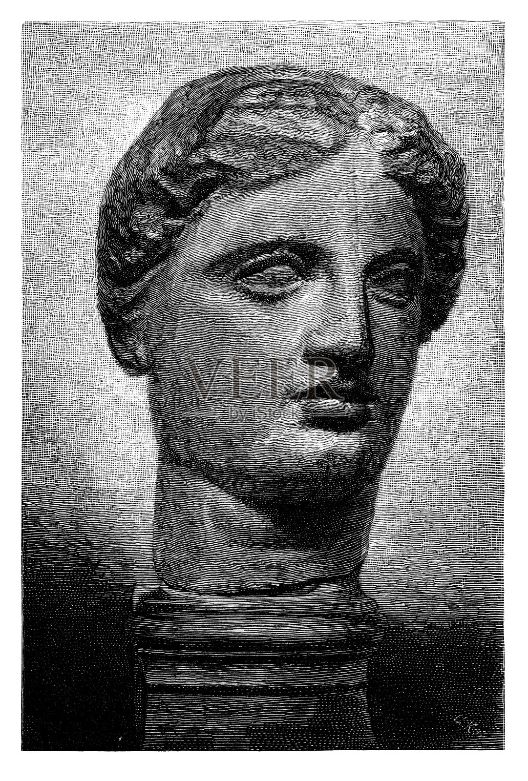 希腊头雕塑插画图片素材