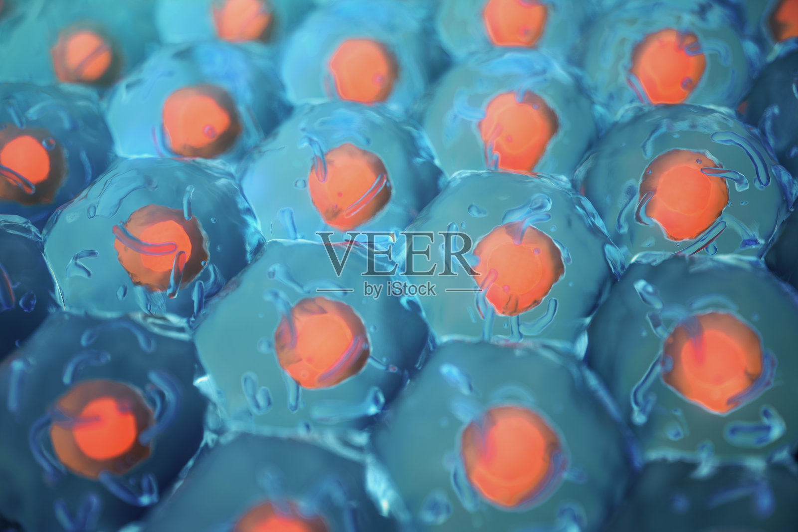 人类细胞。细胞集落。科学和医学的概念。细胞再生，细胞更新，3D插图照片摄影图片