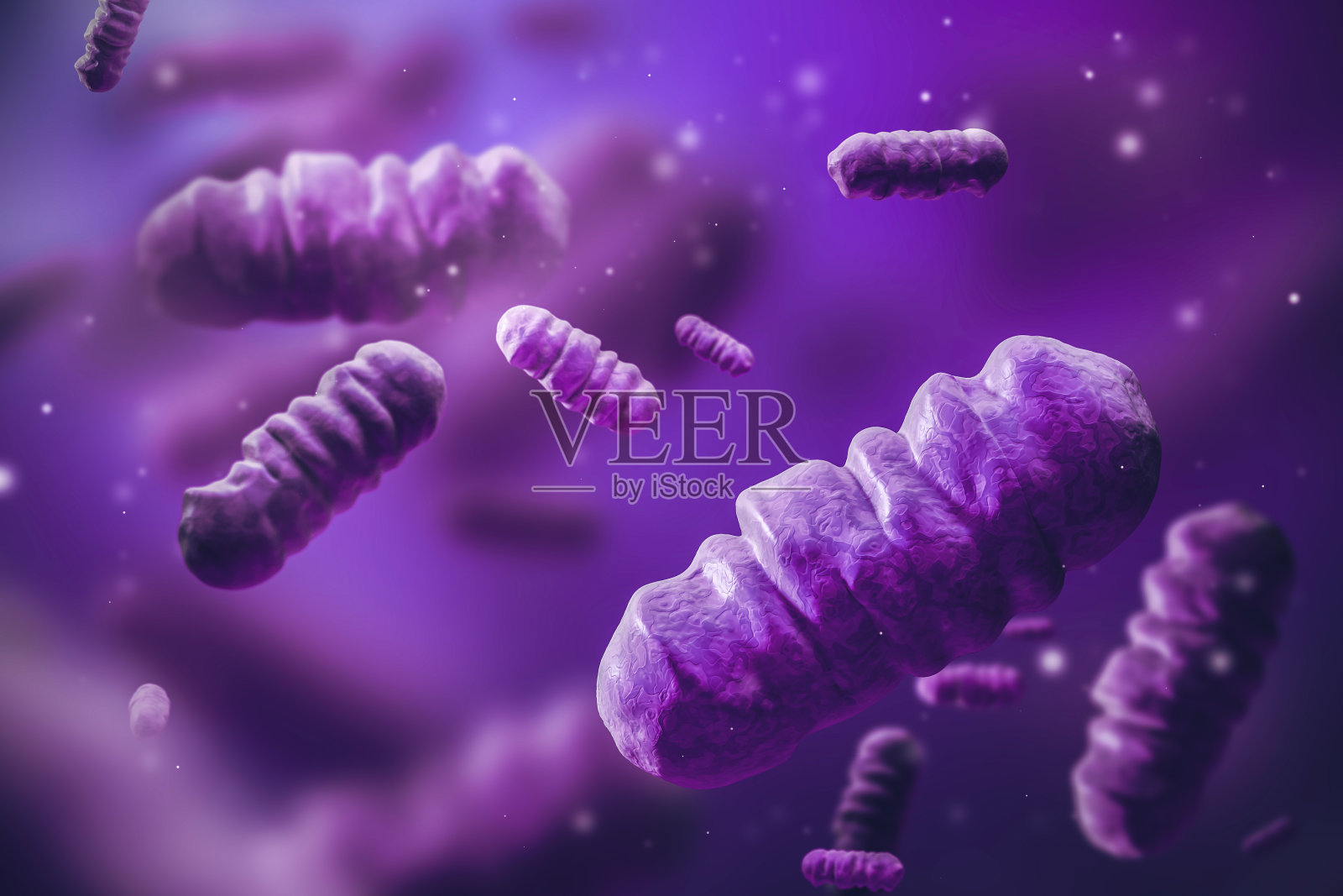 摘要紫色细菌超过紫色插画图片素材