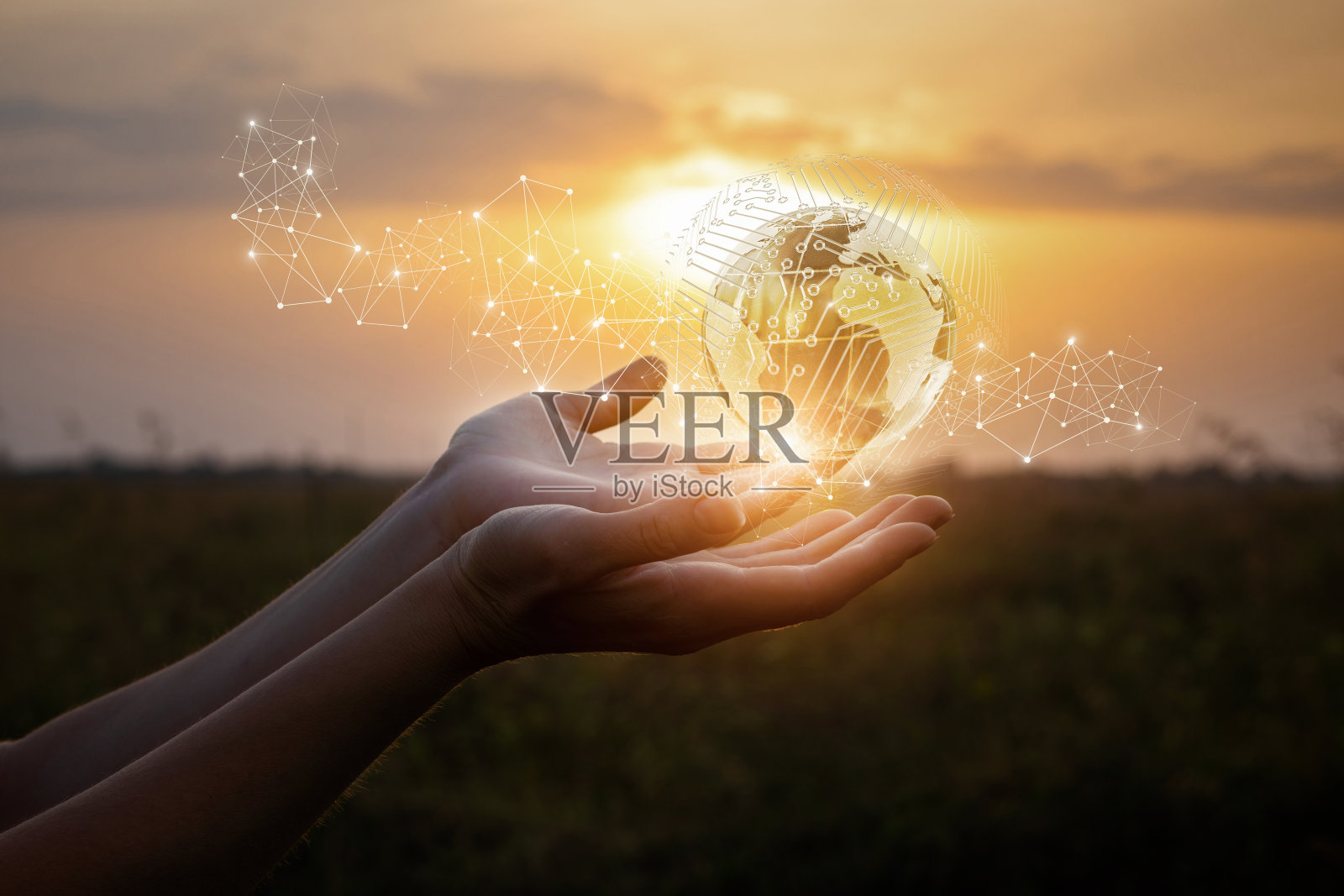 双手展示全球网络。照片摄影图片