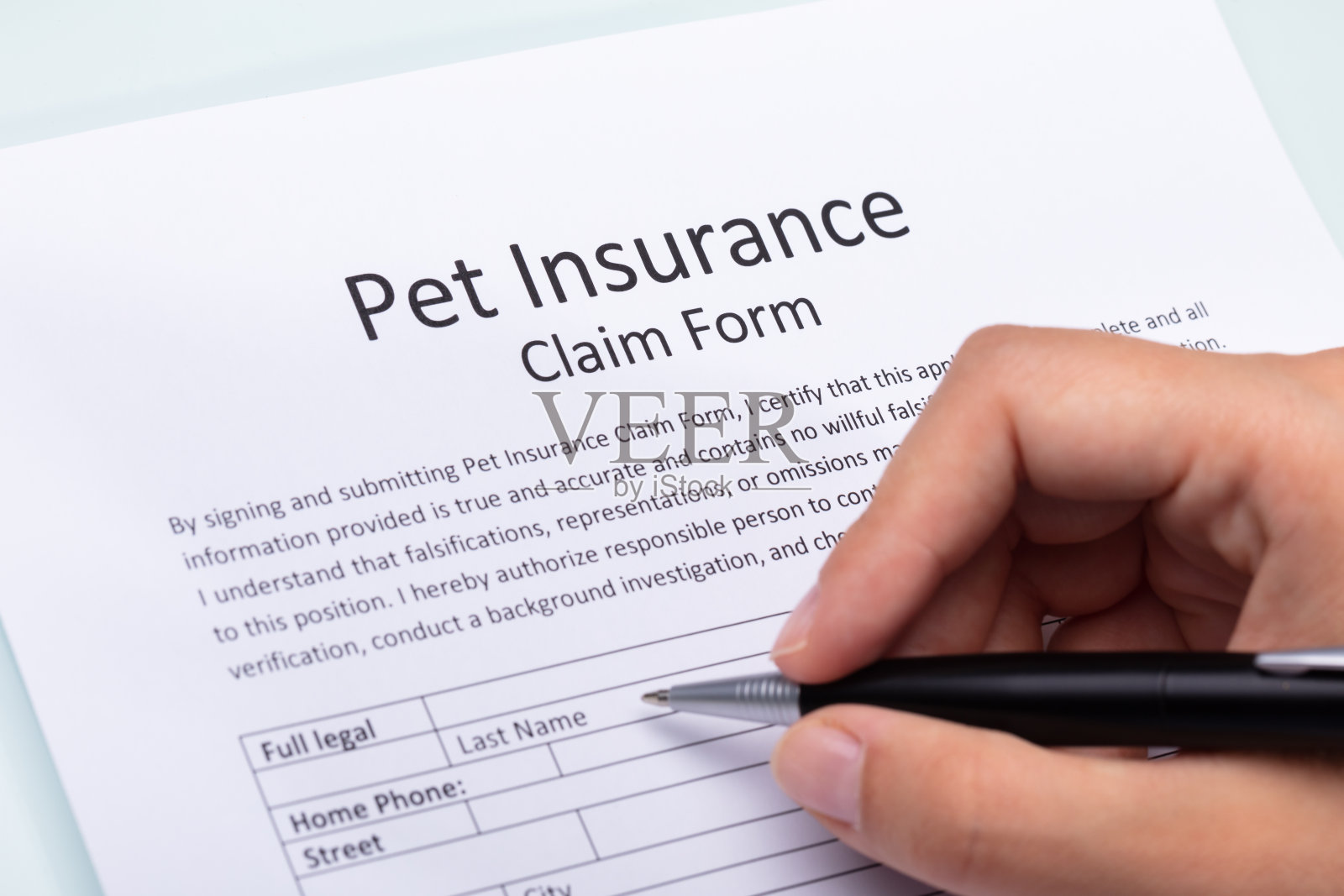 女士填写宠物保险表格照片摄影图片