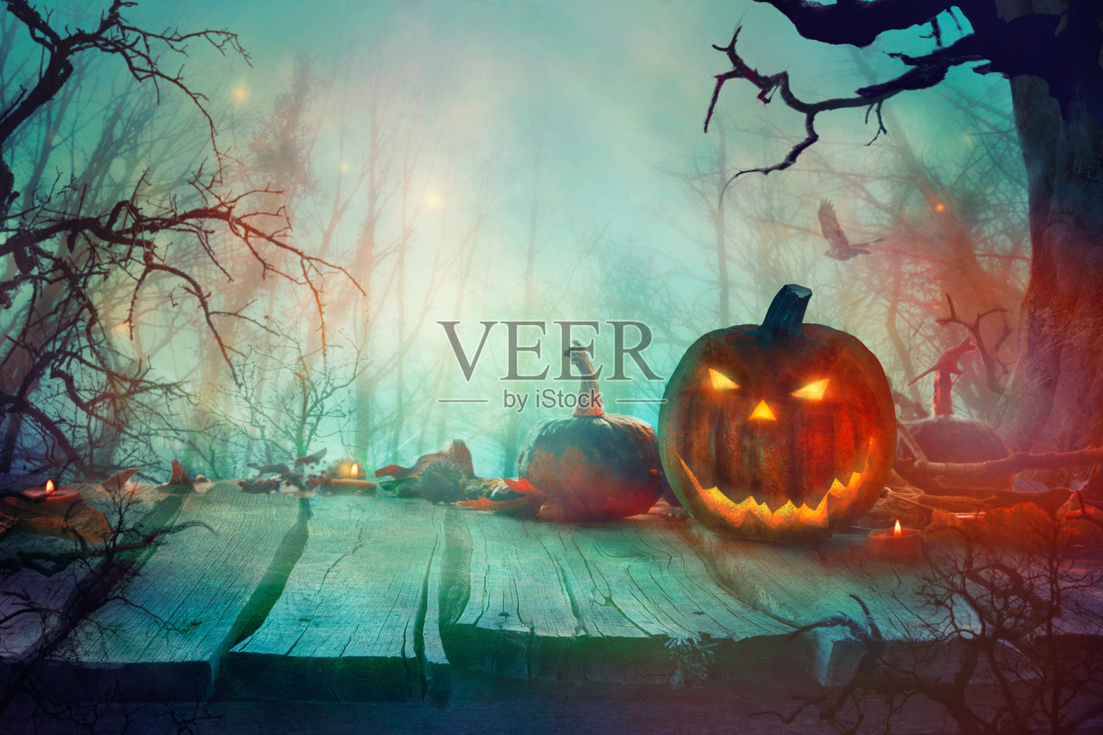 万圣节与南瓜和黑暗森林。可怕的万圣节设计照片摄影图片