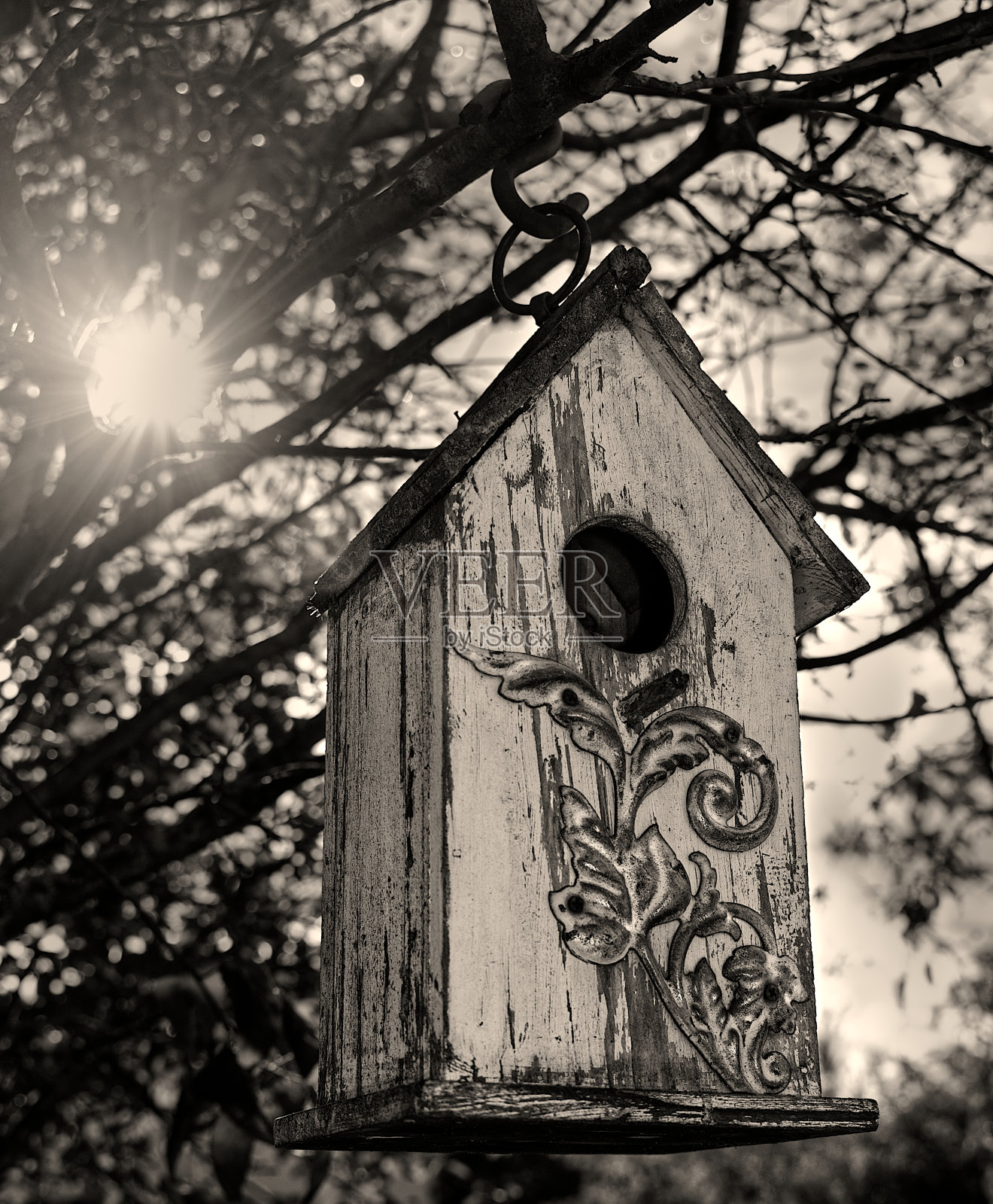 禽舍的树照片摄影图片