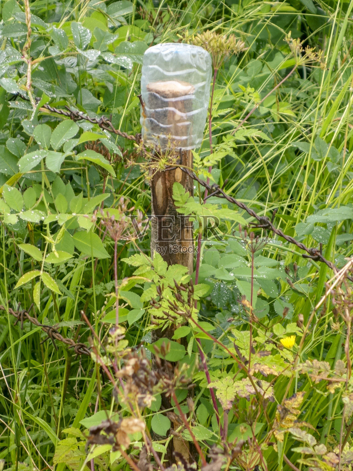 铁丝网和半切PET瓶的特写照片摄影图片