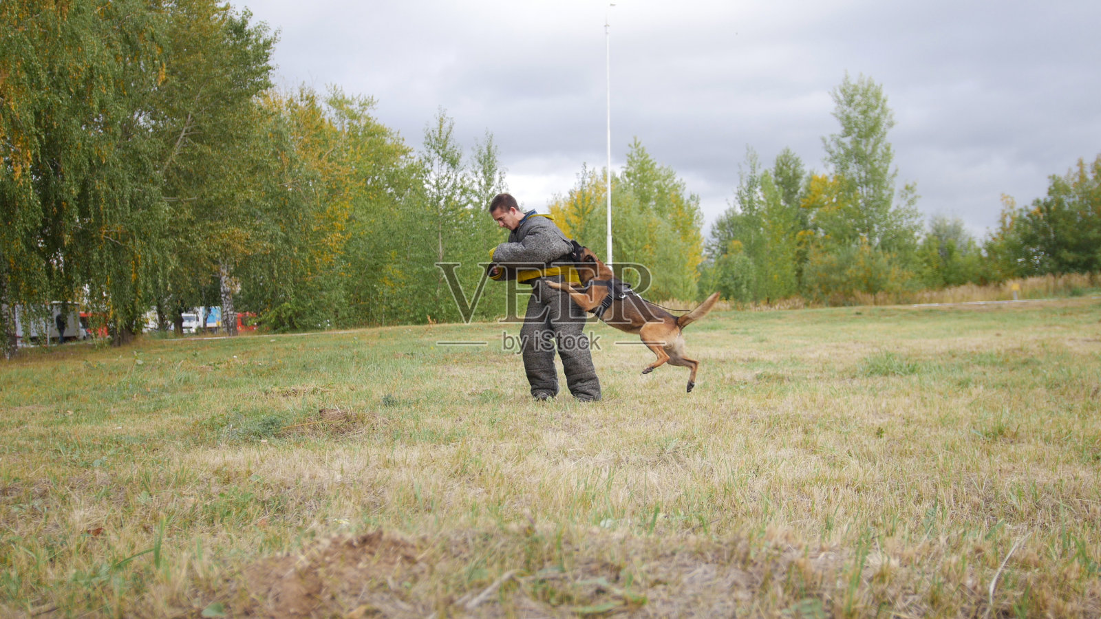一只受过训练的德国牧羊犬咬了穿防护服的人的胳膊照片摄影图片