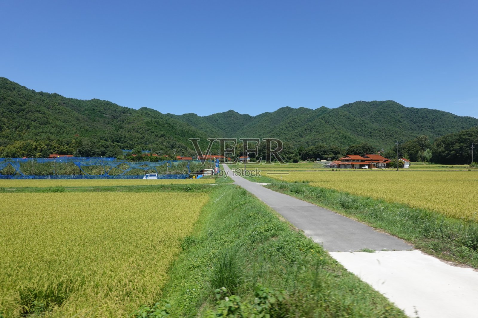 从山口线看火车。照片摄影图片