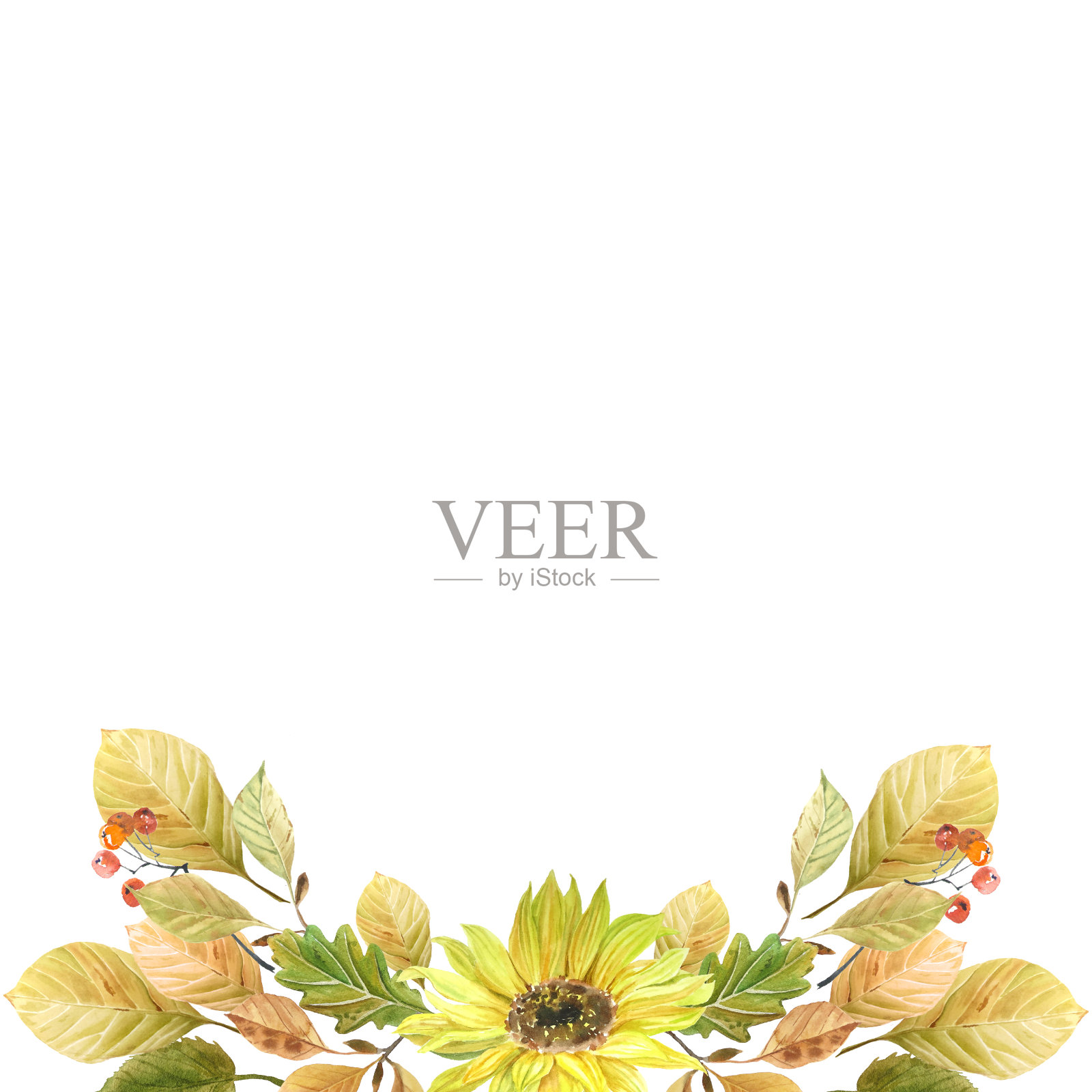 秋贺卡，相框。感恩节快乐!秋天的节日!水彩插图，手绘。插画图片素材