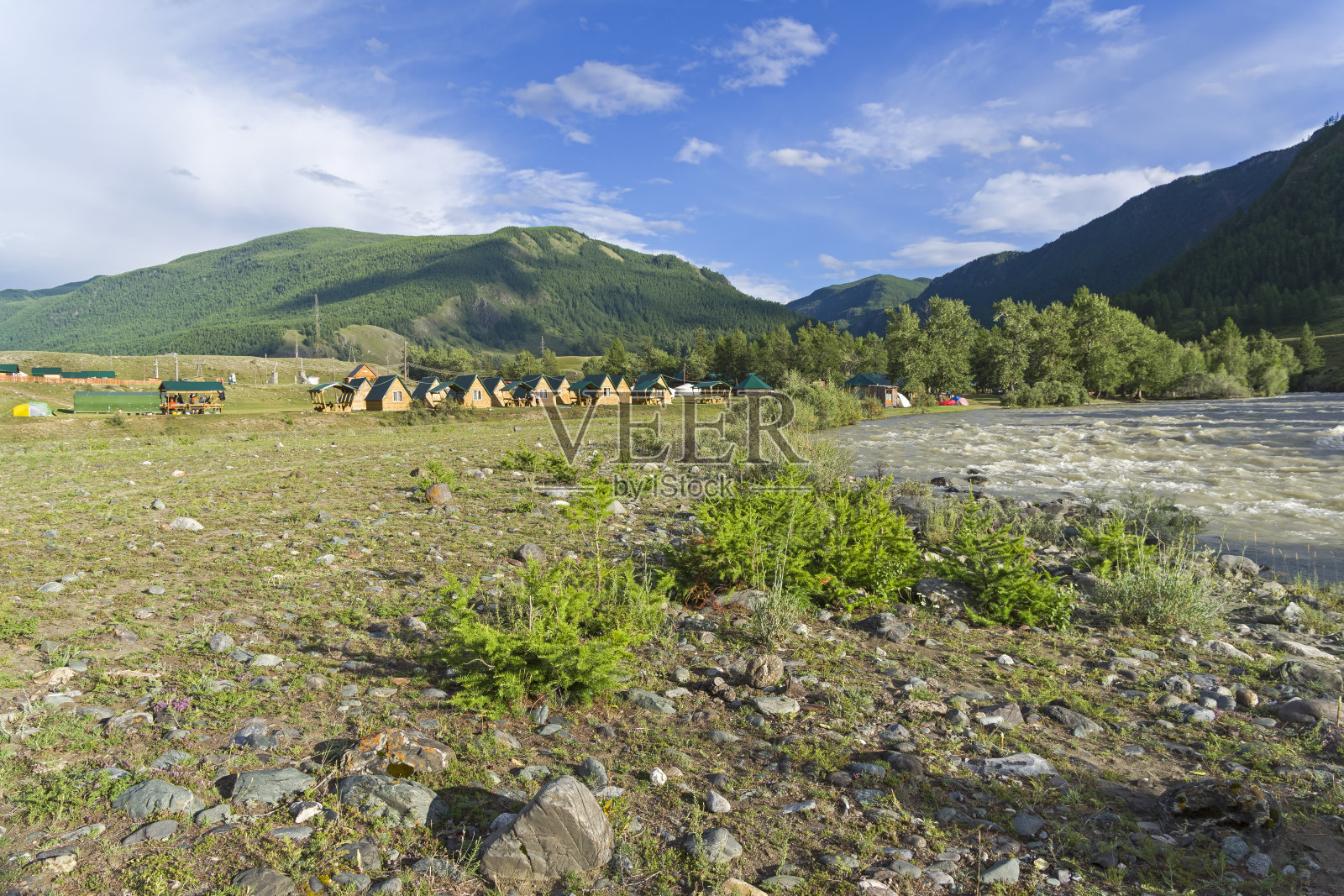 Сamp地点在河岸上。阿尔泰。俄罗斯照片摄影图片